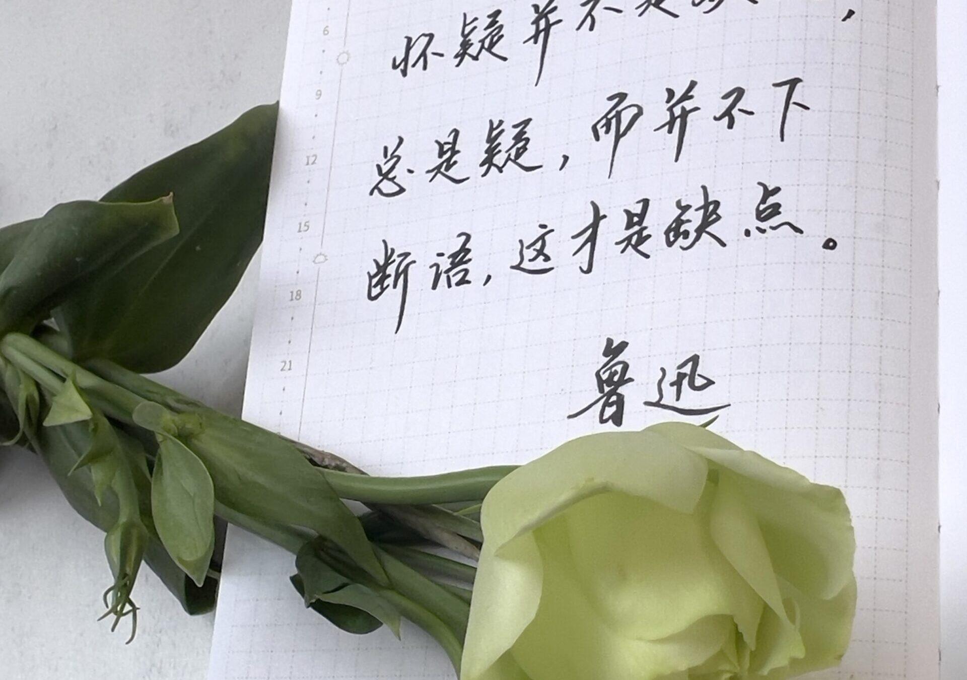 怀疑并不是缺点