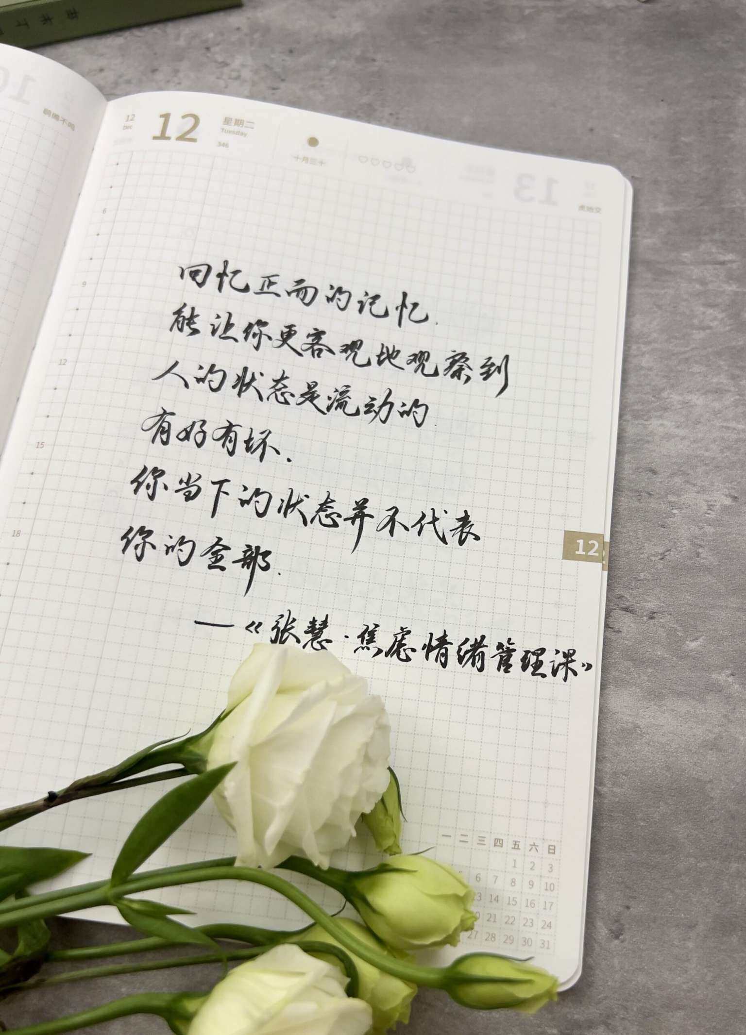 自在手帐2023年12月12日