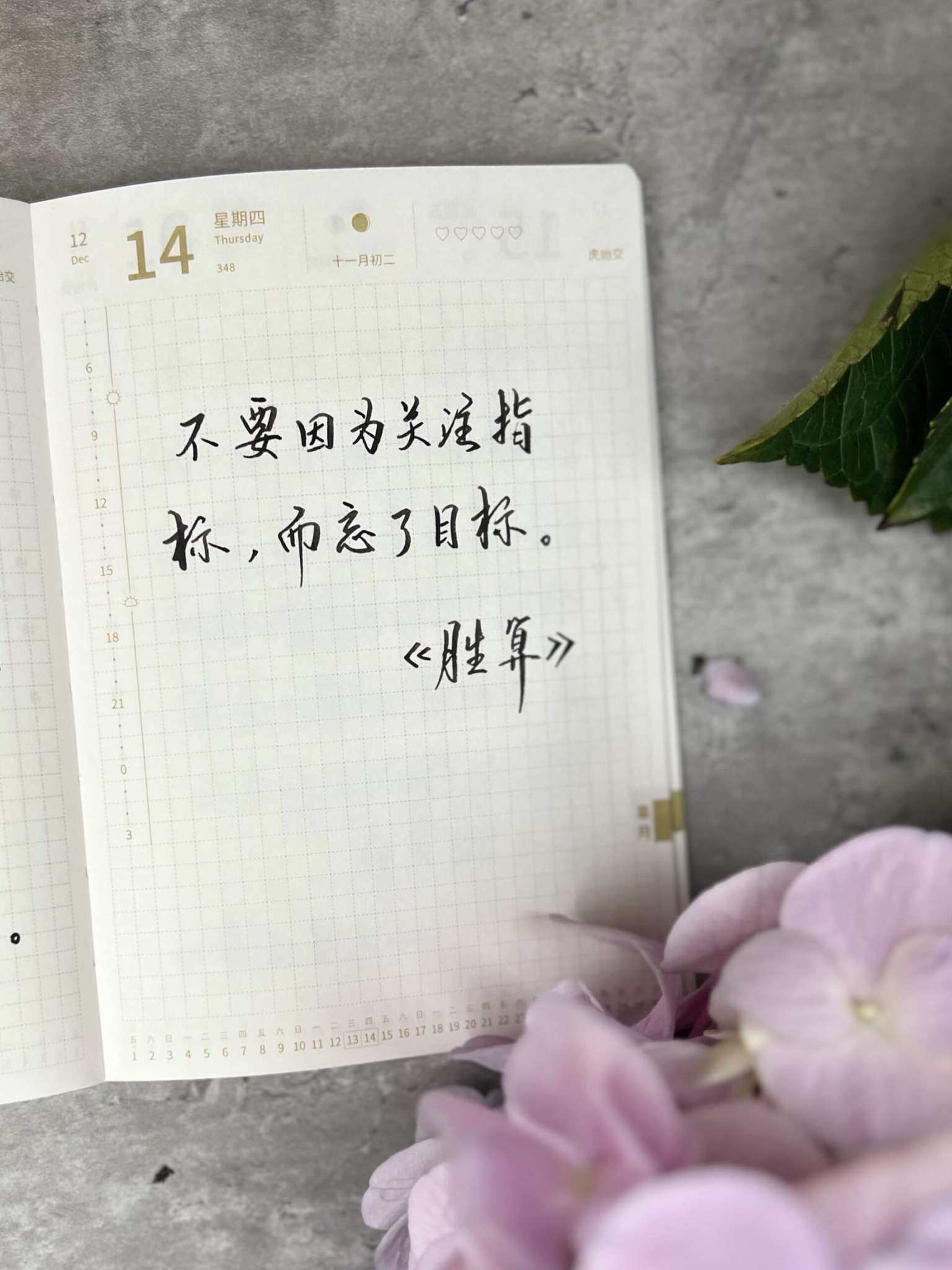 自在手帐2023年12月14日