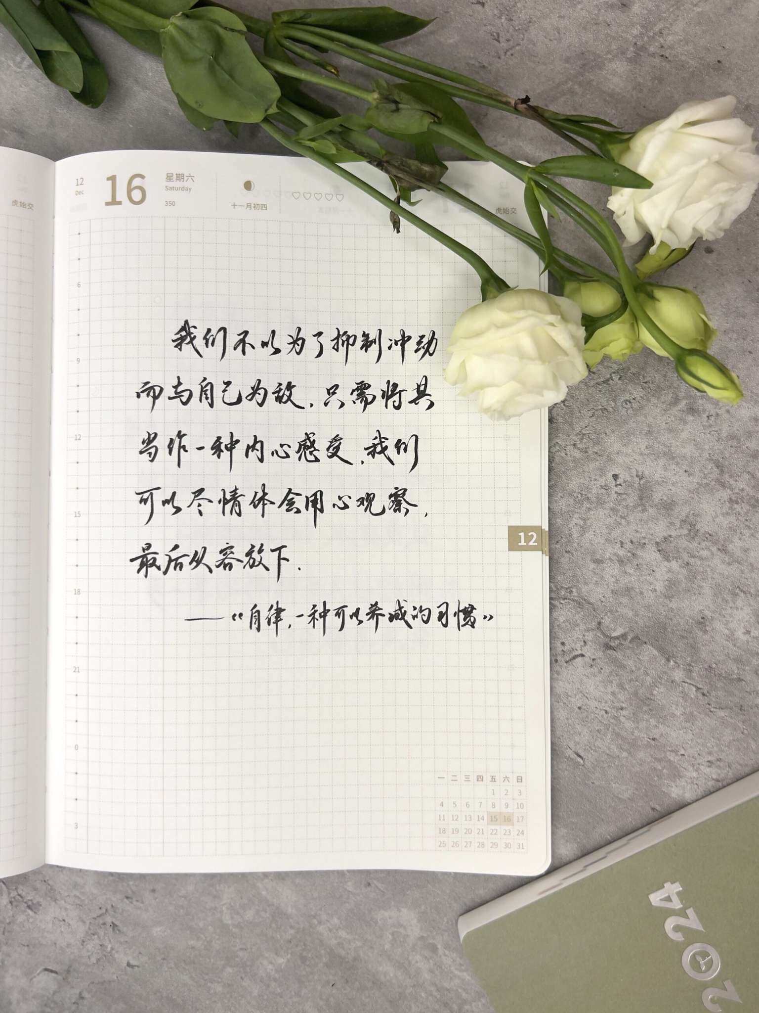 自在手帐2023年12月16日