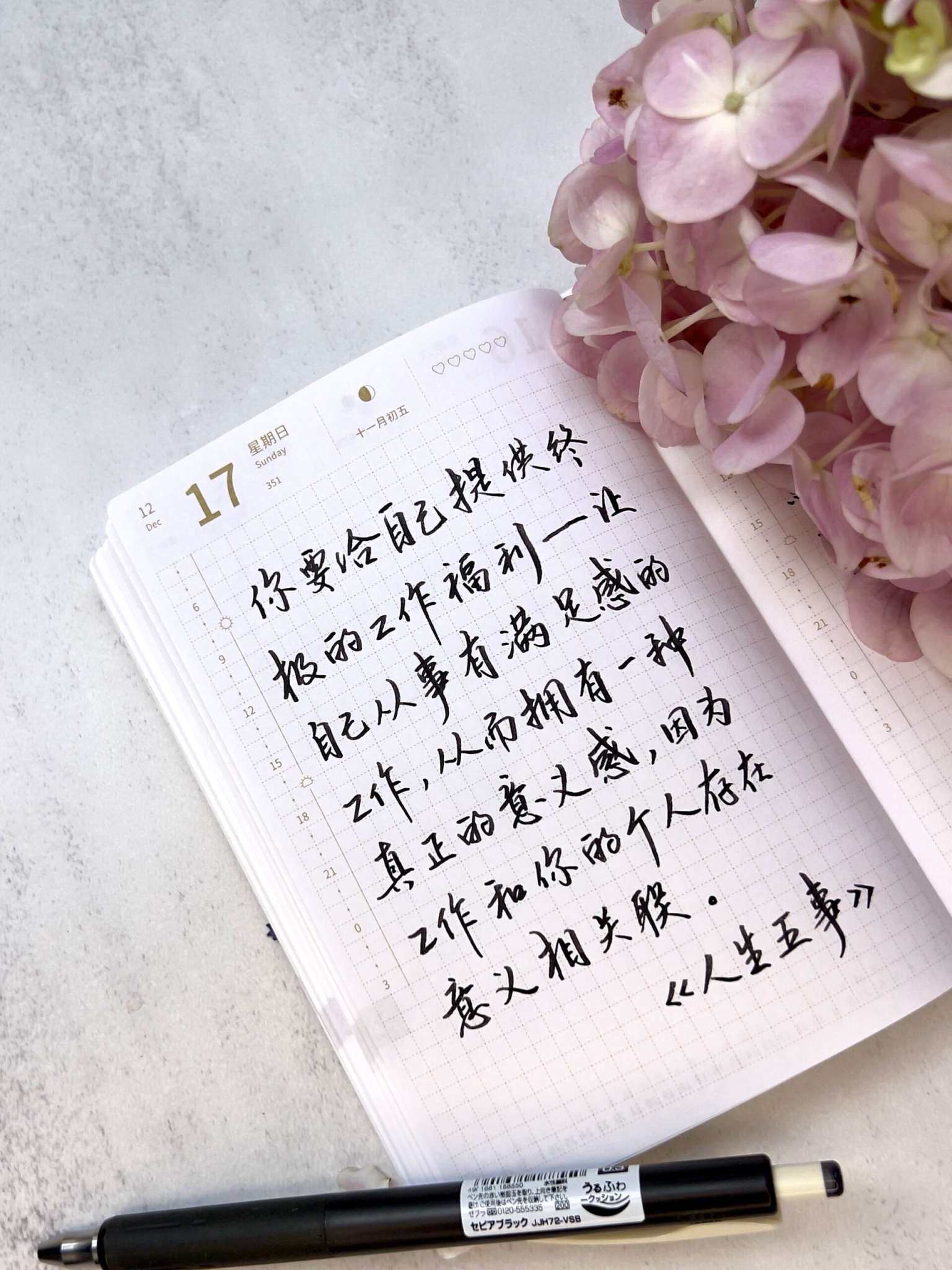 自在手帐2023年12月17日