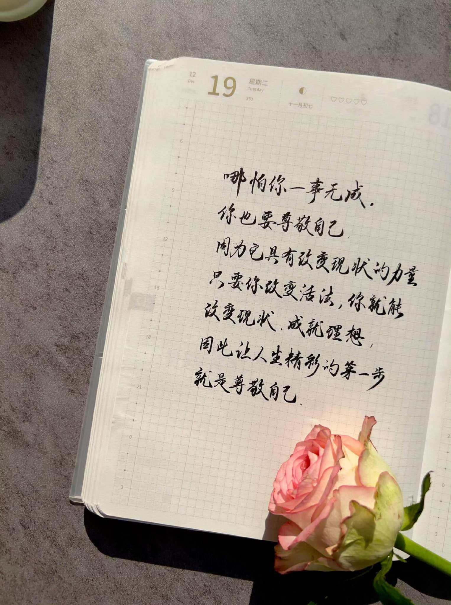 自在手帐2023年12月19日