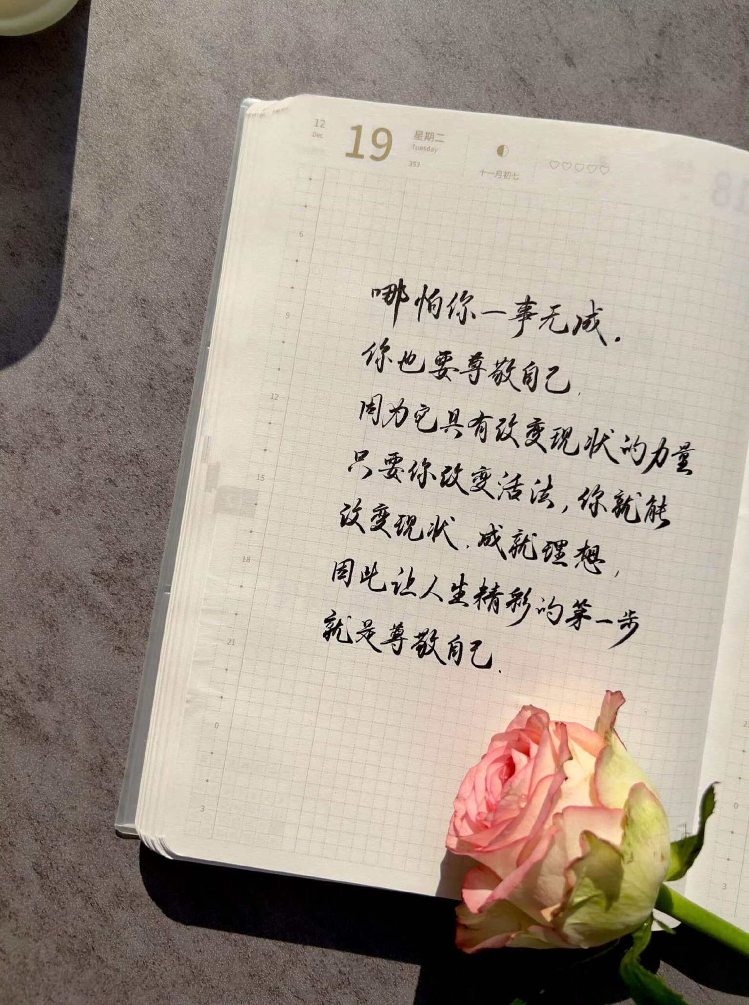 自在手帐2023年12月19日