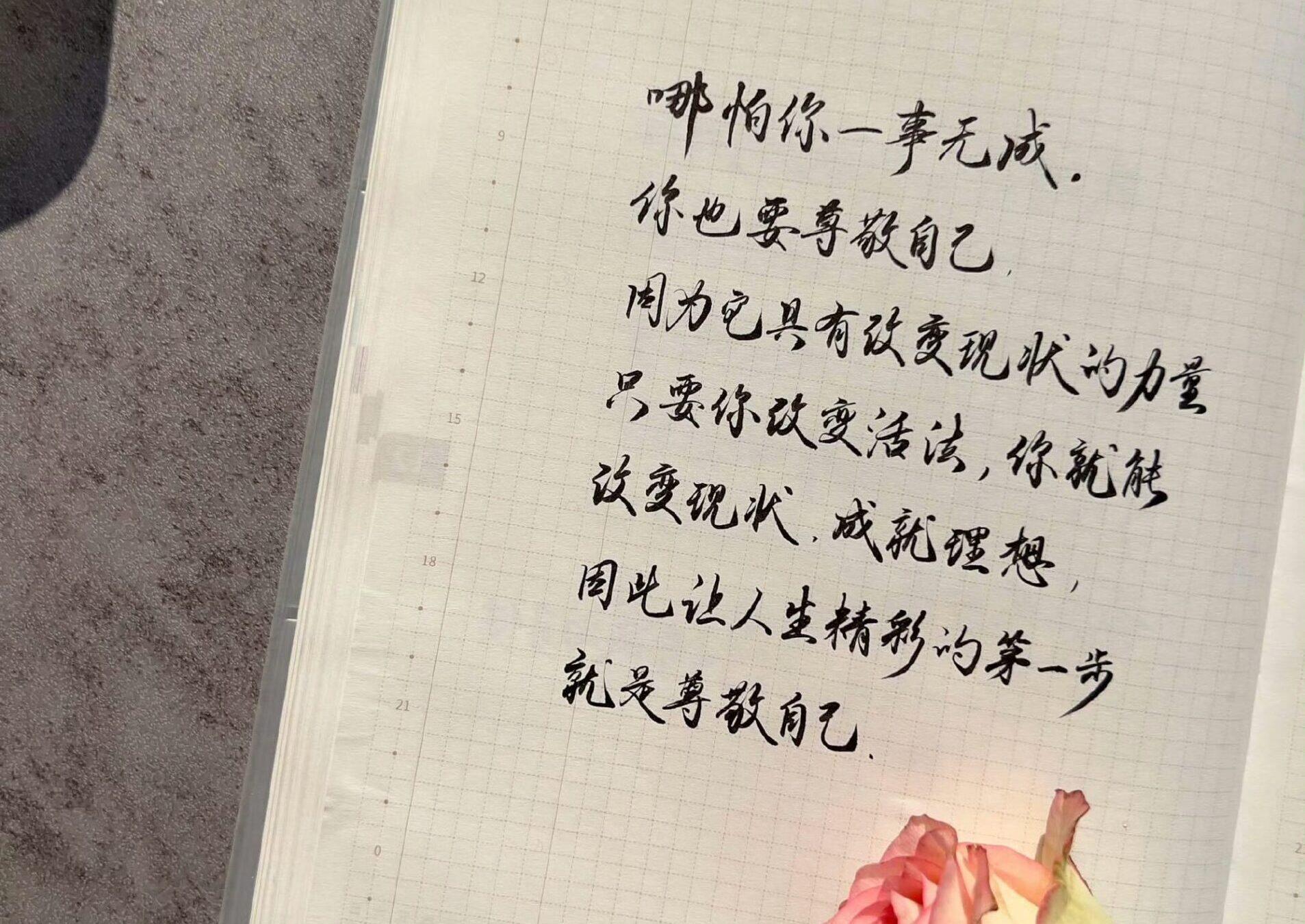 自在手帐2023年12月19日