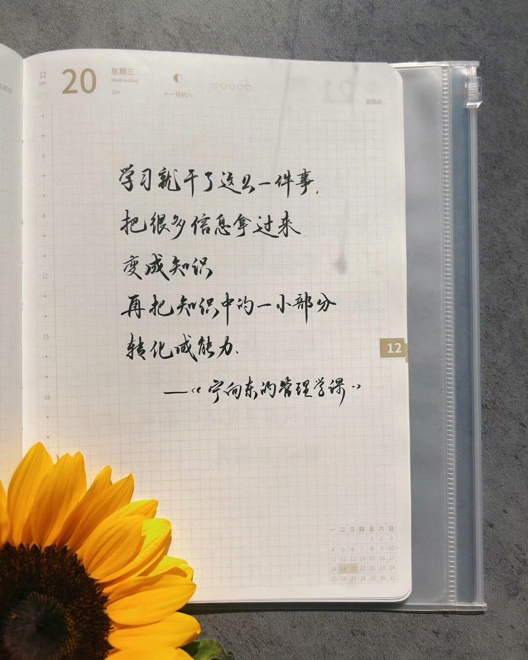 把信息转化成能力