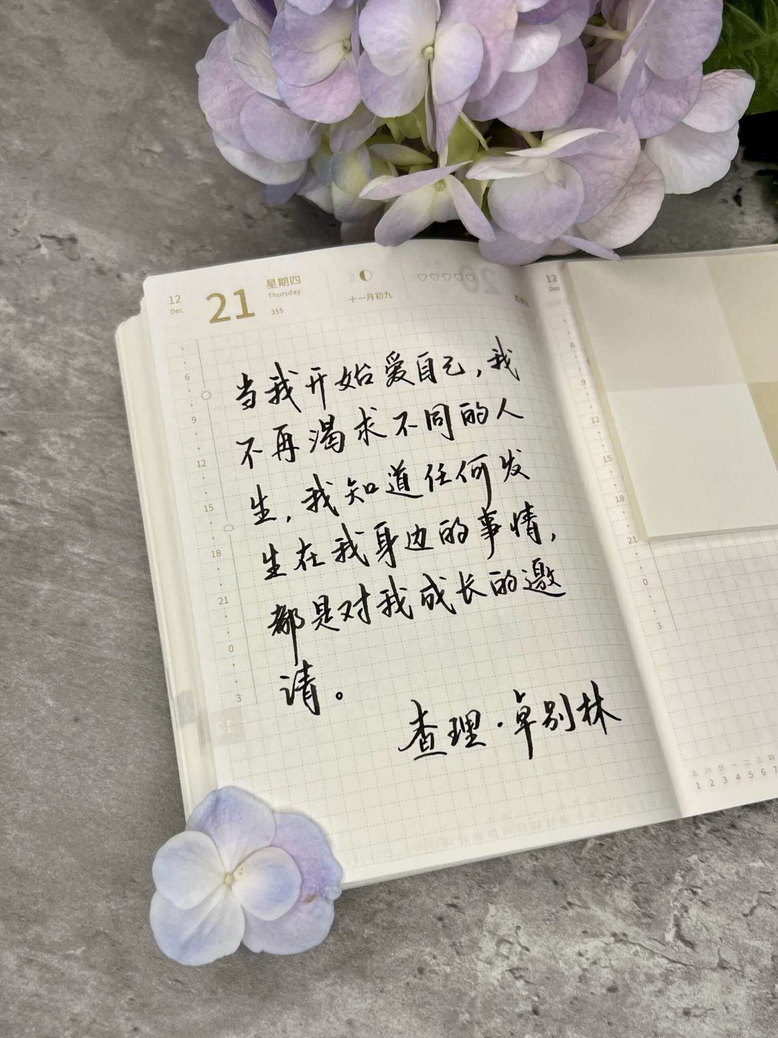 自在手帐2023年12月21日
