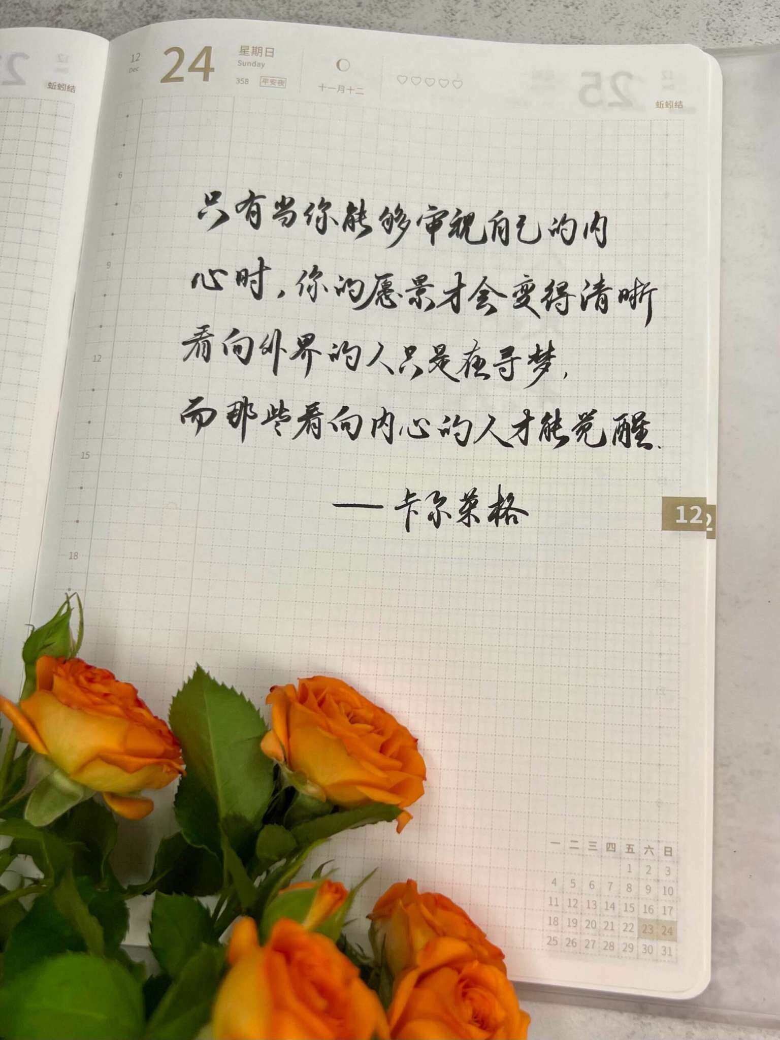 自在手帐2023年12月24日