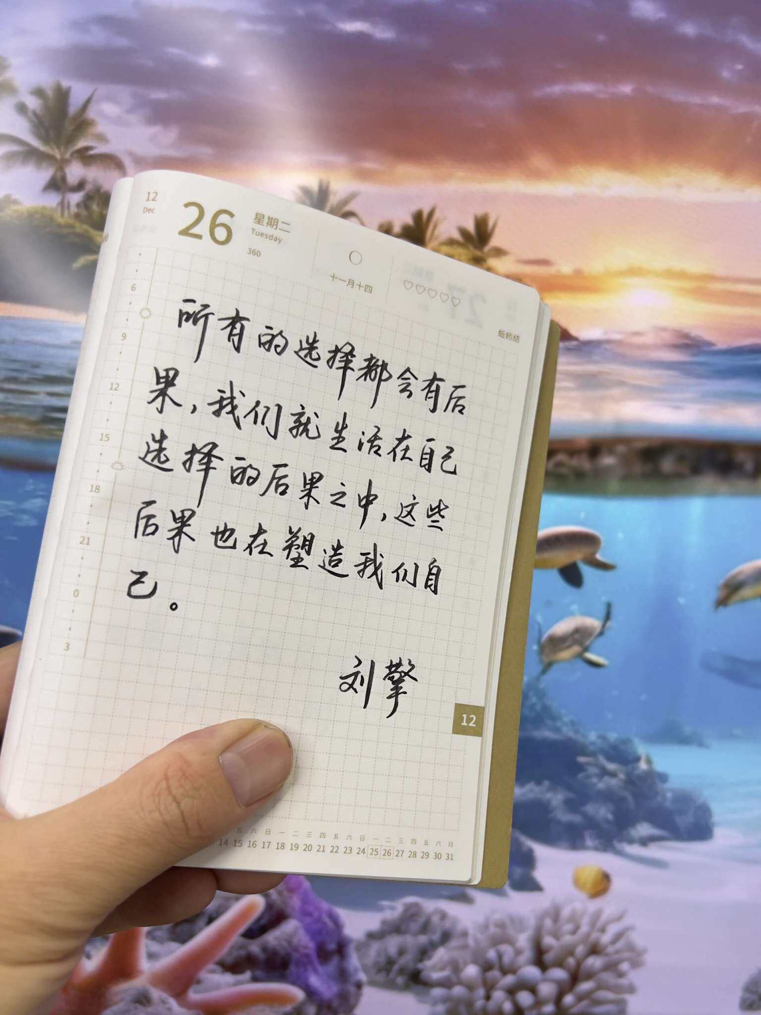 自在手帐2023年12月26日