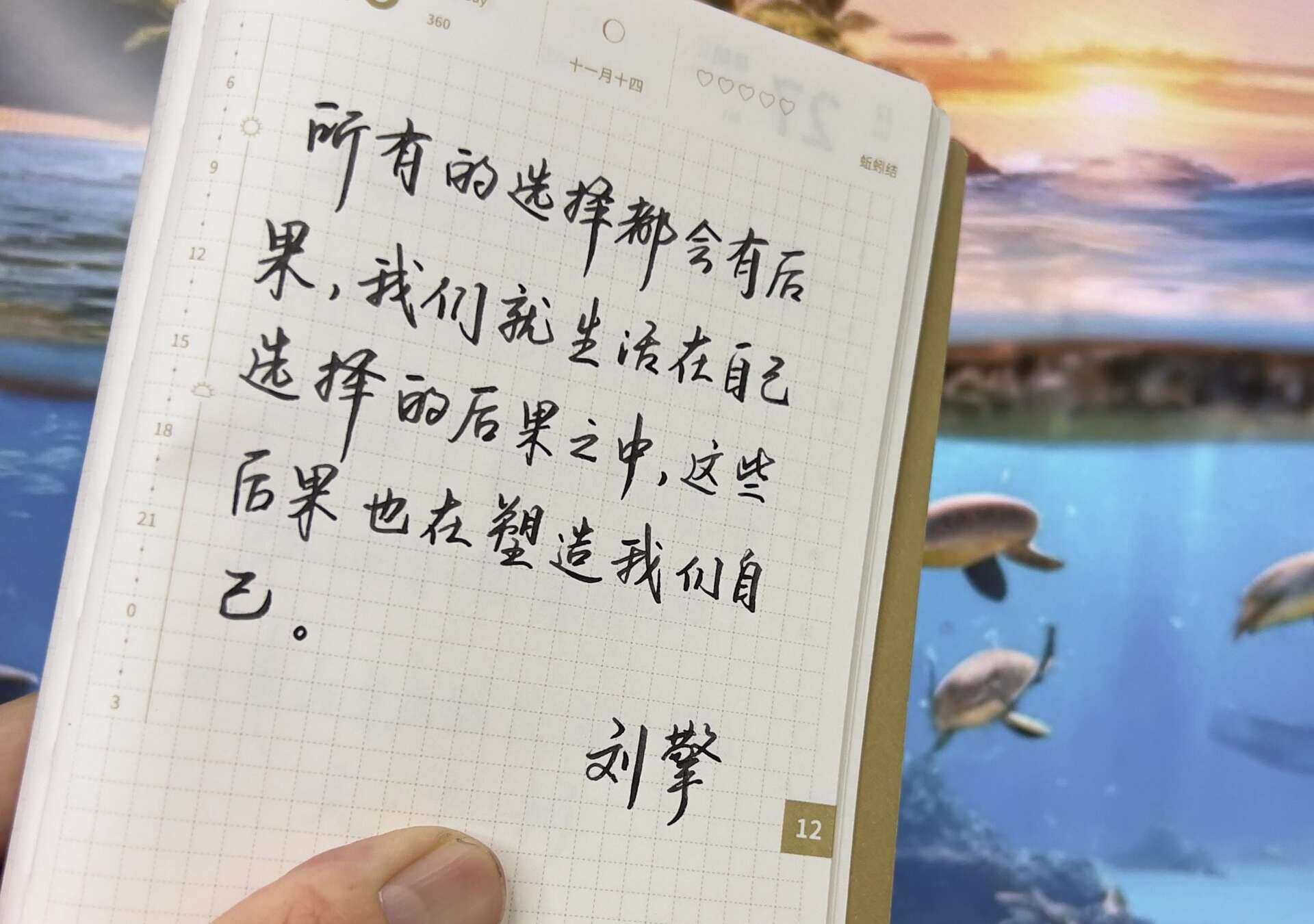 自在手帐2023年12月26日