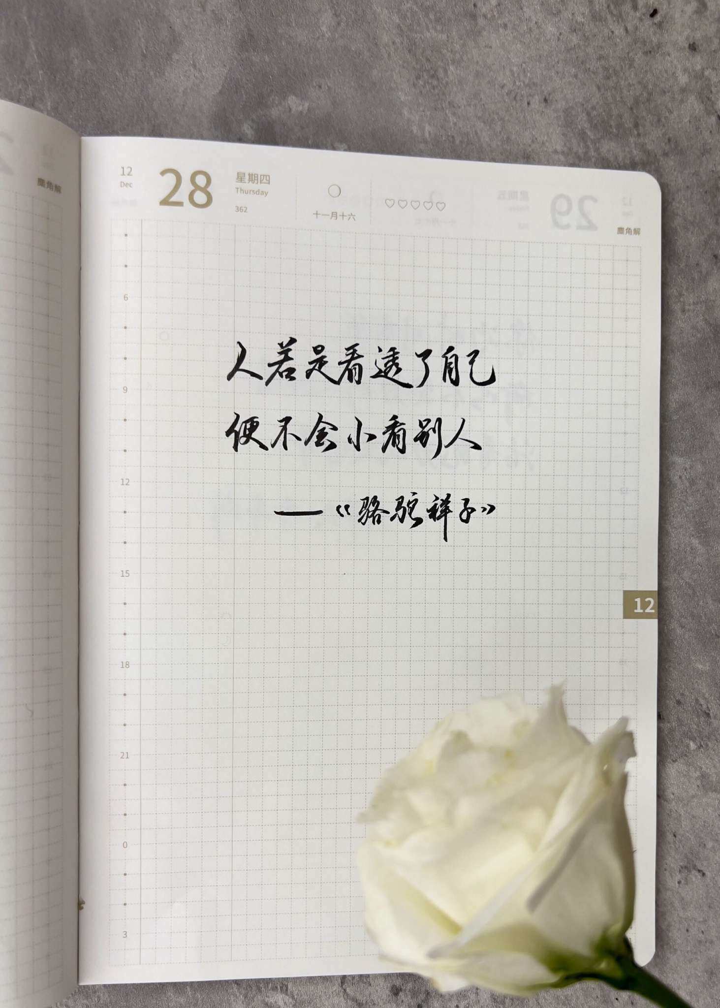 自在手帐2023年12月28日