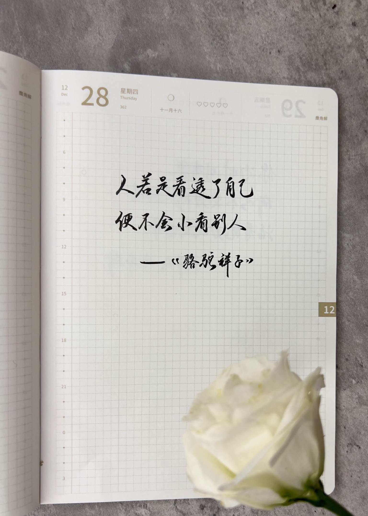 自在手帐2023年12月28日