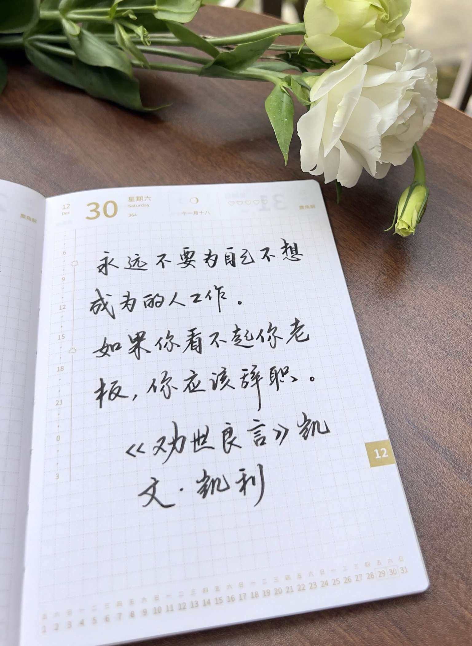 自在手帐2023年12月30日