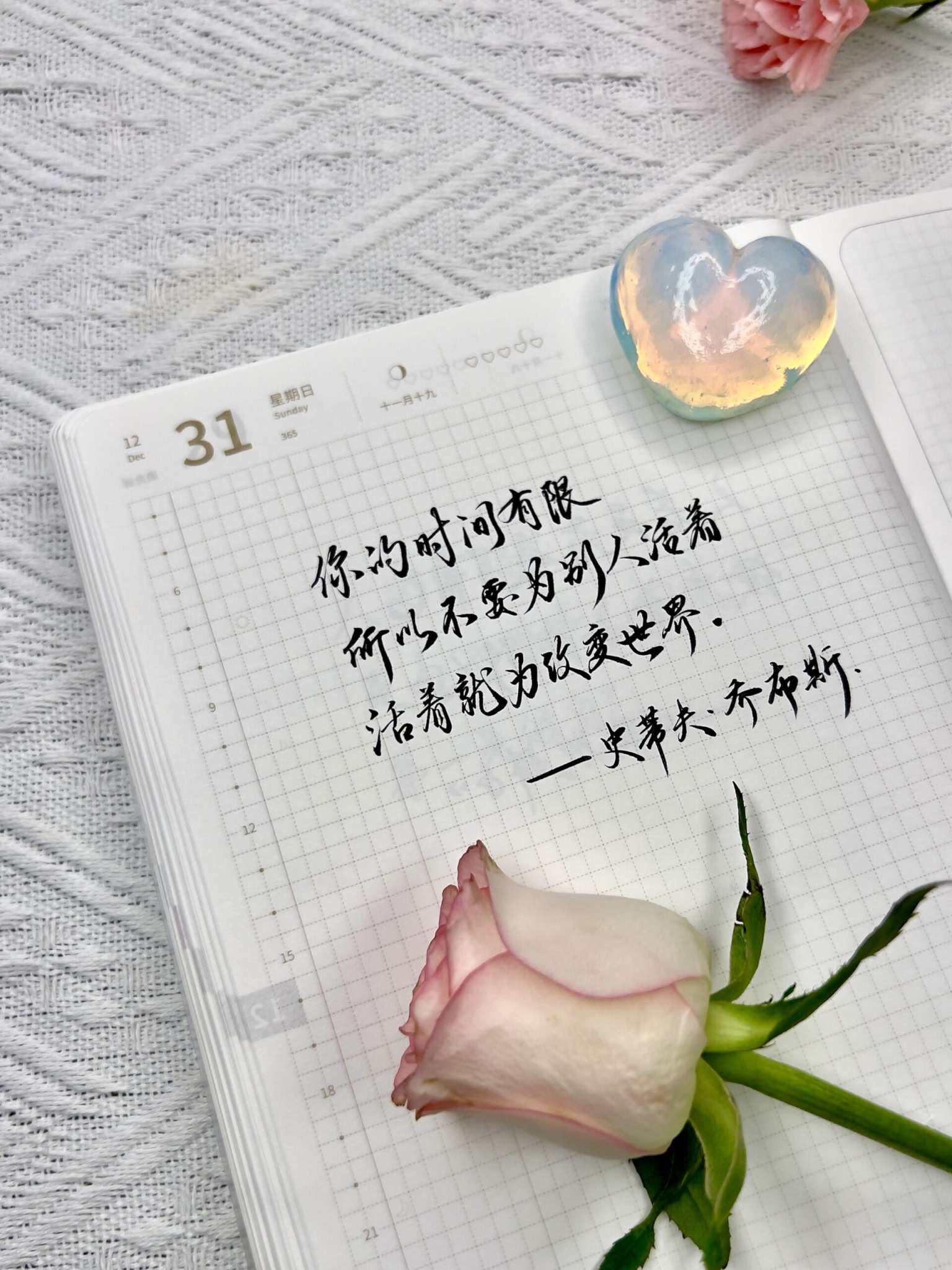 自在手帐2023年12月31日