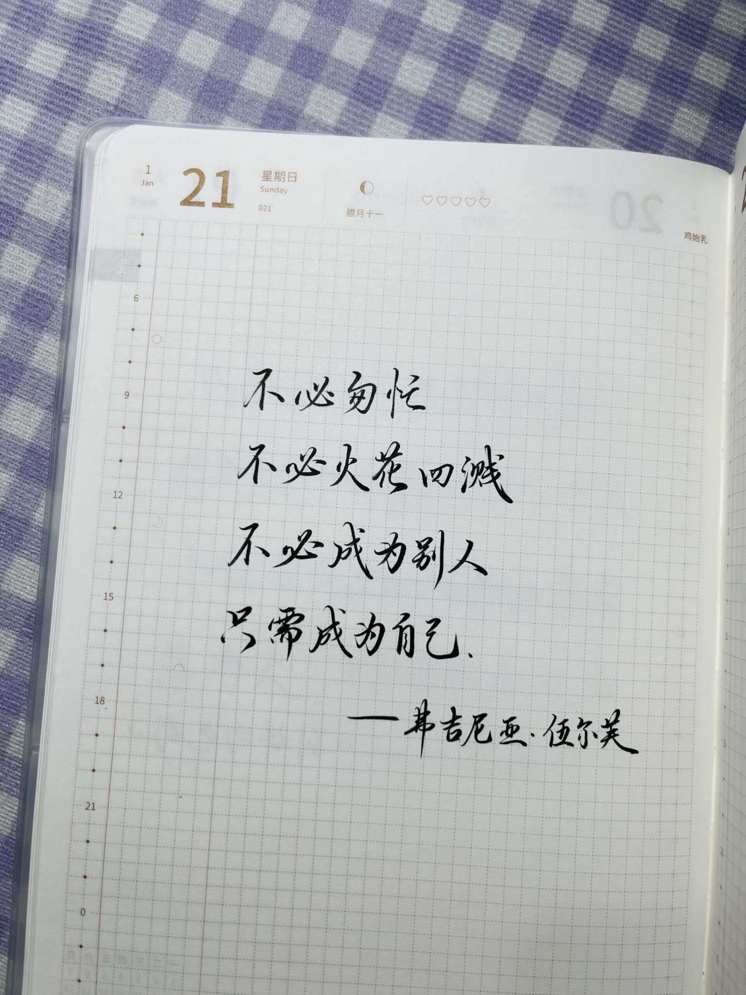 自在手帐2024年1月21日