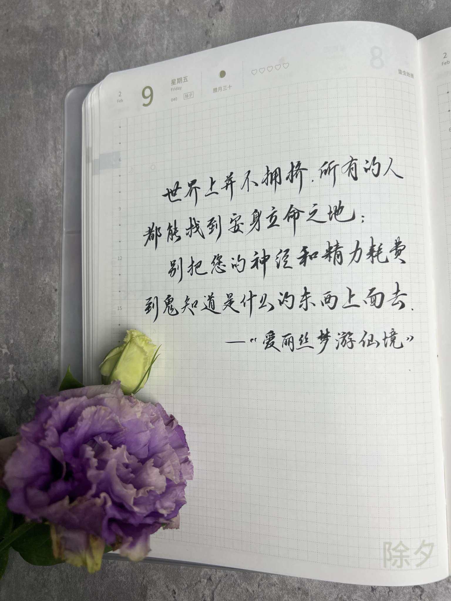 自在手帐2024年2月9日
