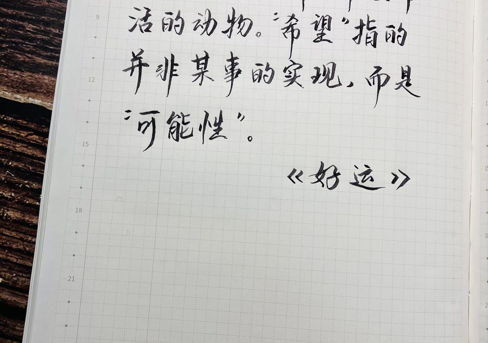 “希望”指的是“可能性”