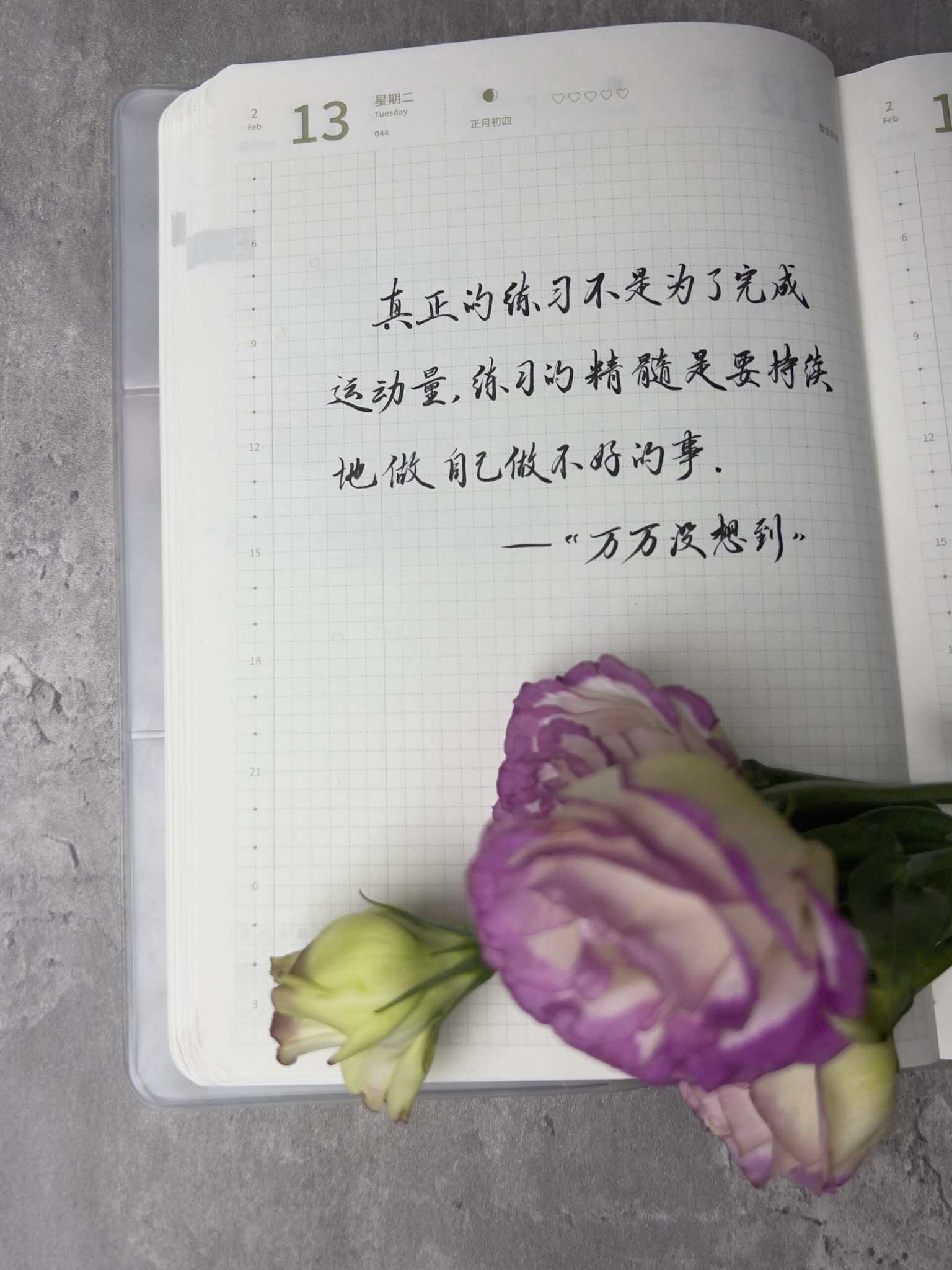 自在手帐2024年2月13日