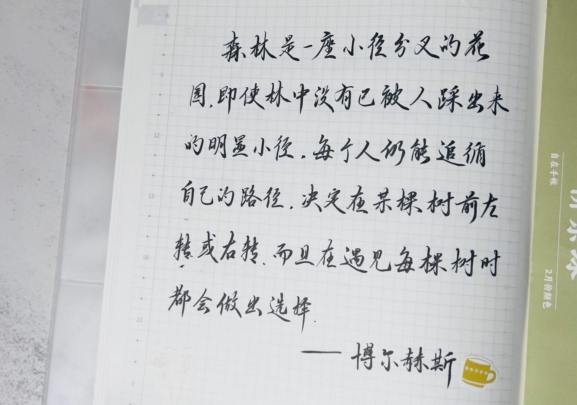 森林是一座小径分叉的花园