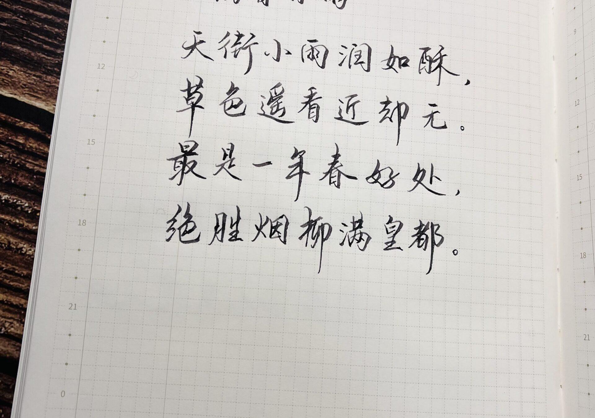 雨水|二十四节气|甲辰年