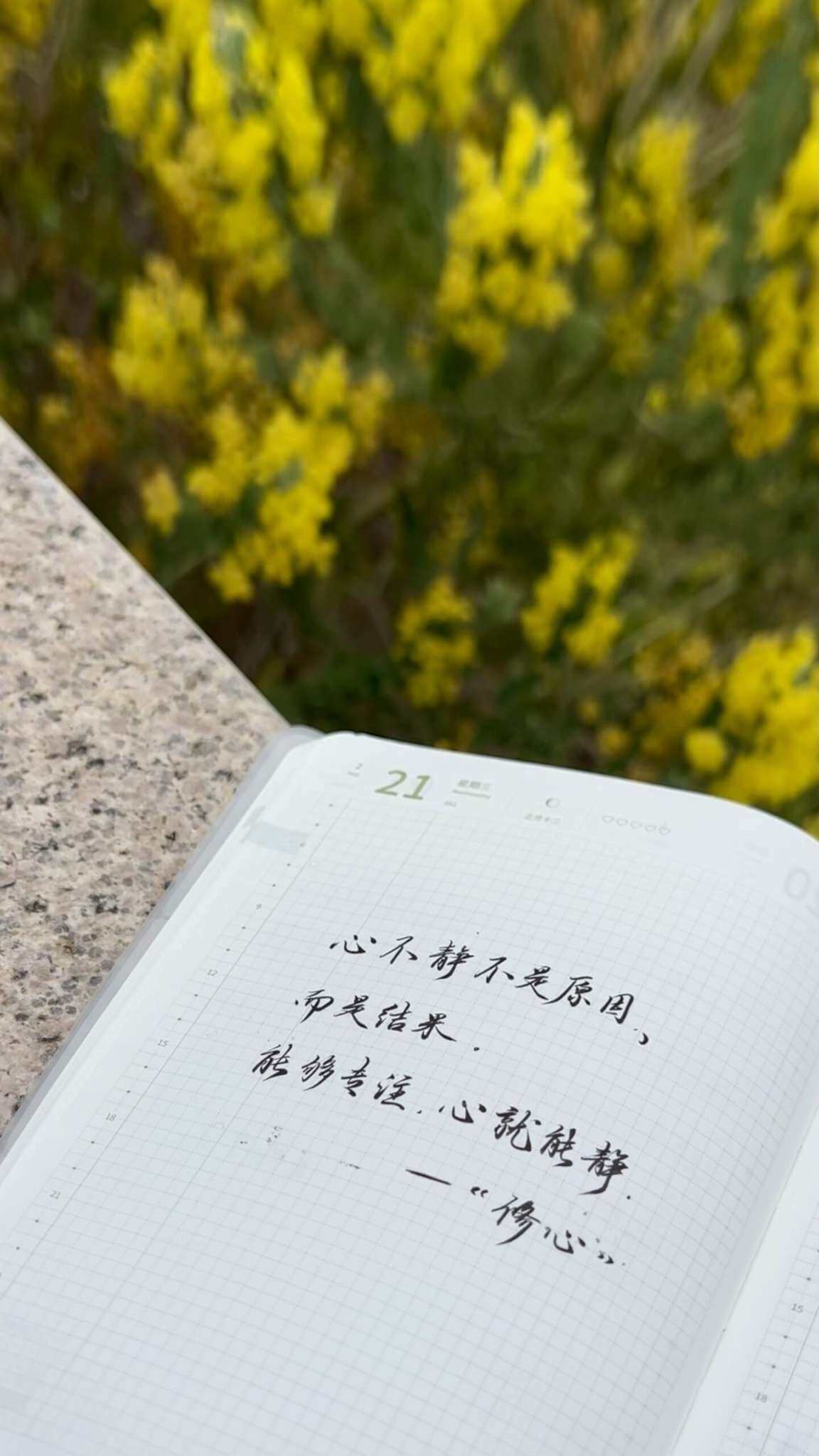 自在手帐2024年2月21日