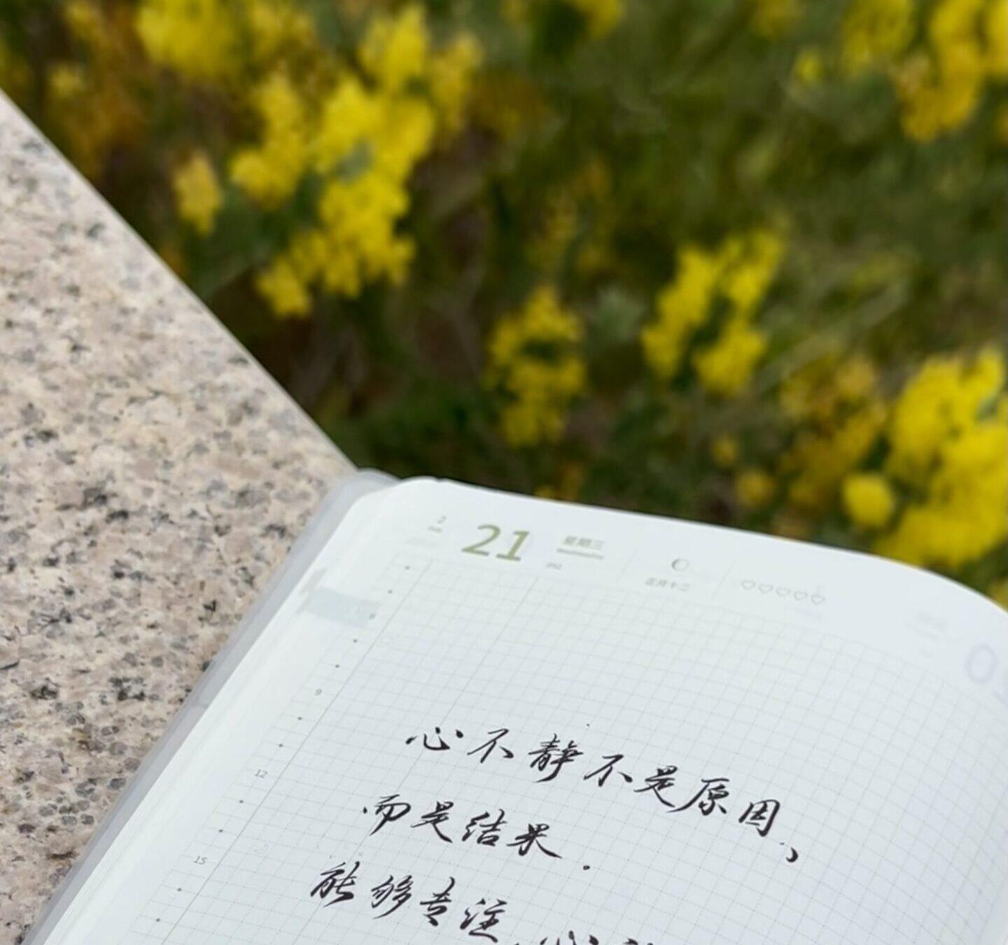 能够专注，心就能静