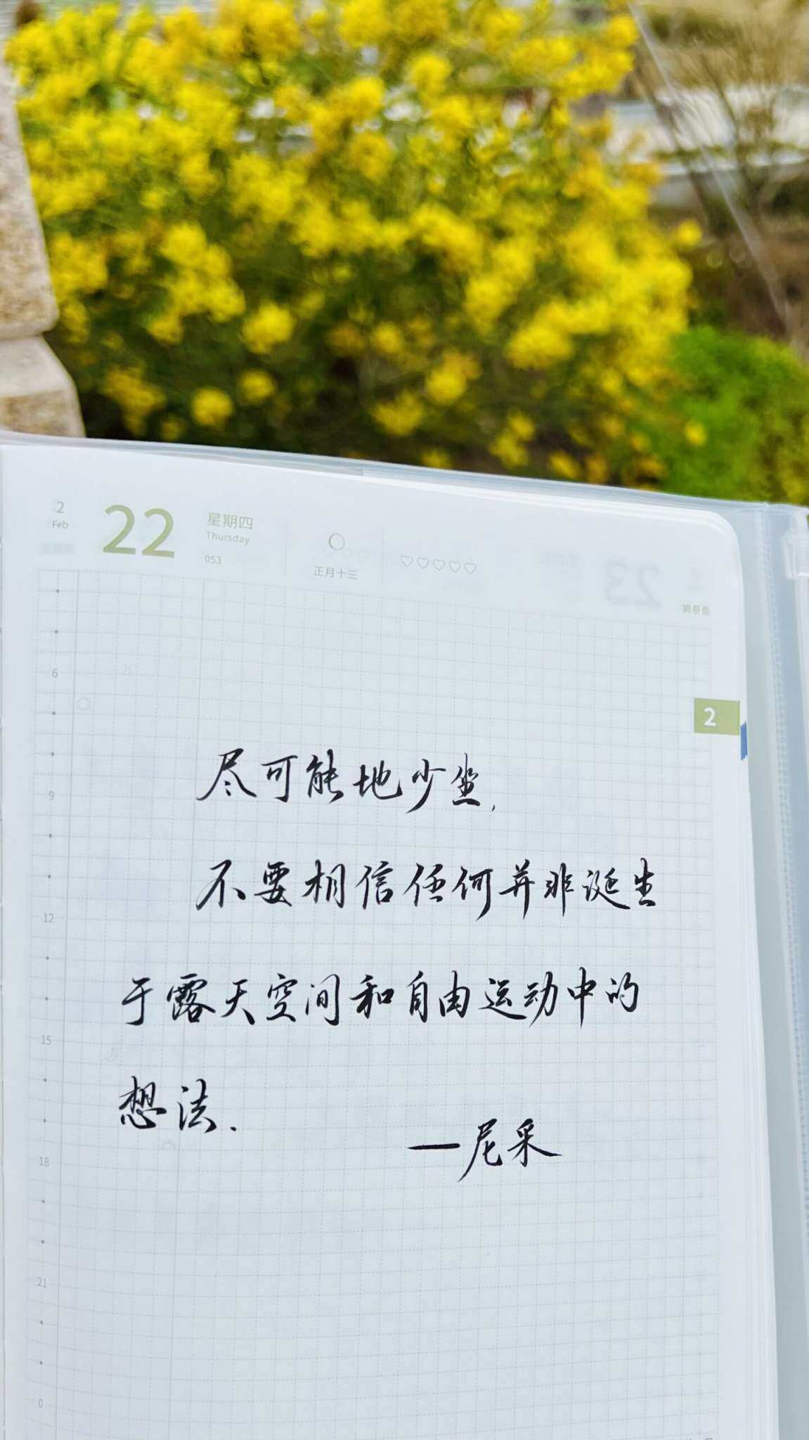 自在手帐2024年2月22日
