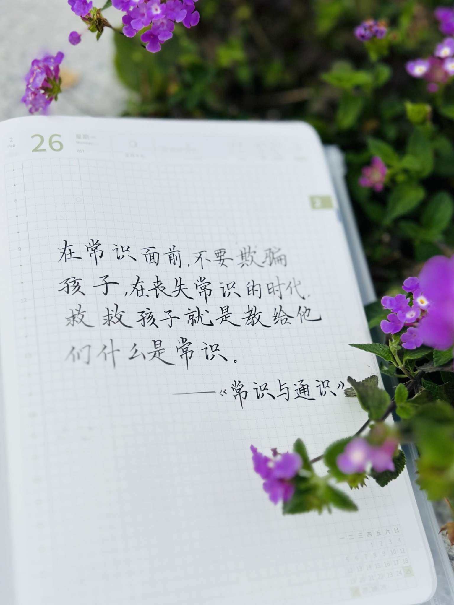 自在手帐2024年2月26日