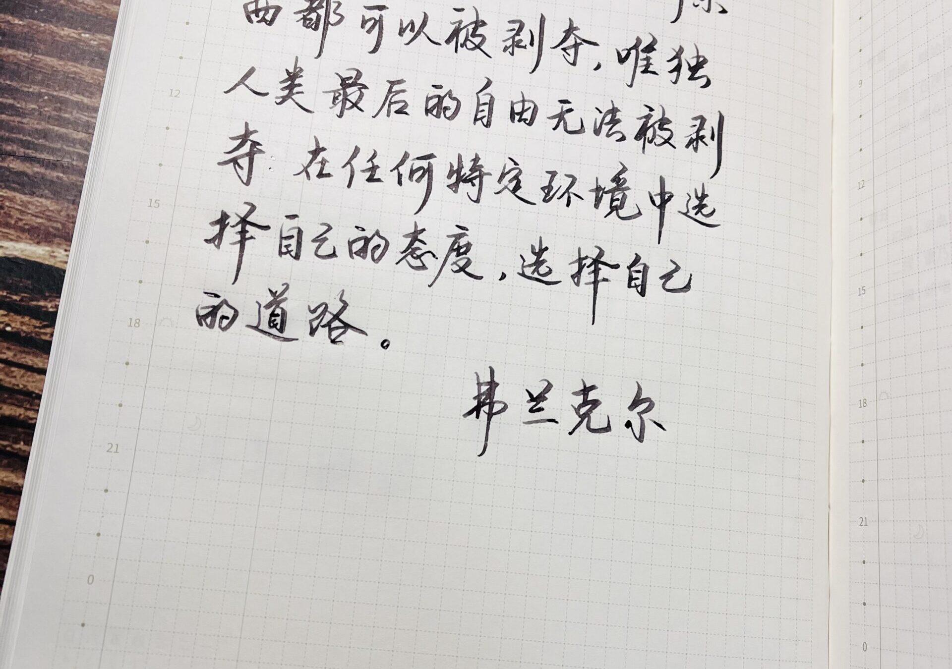 选择自己的道路