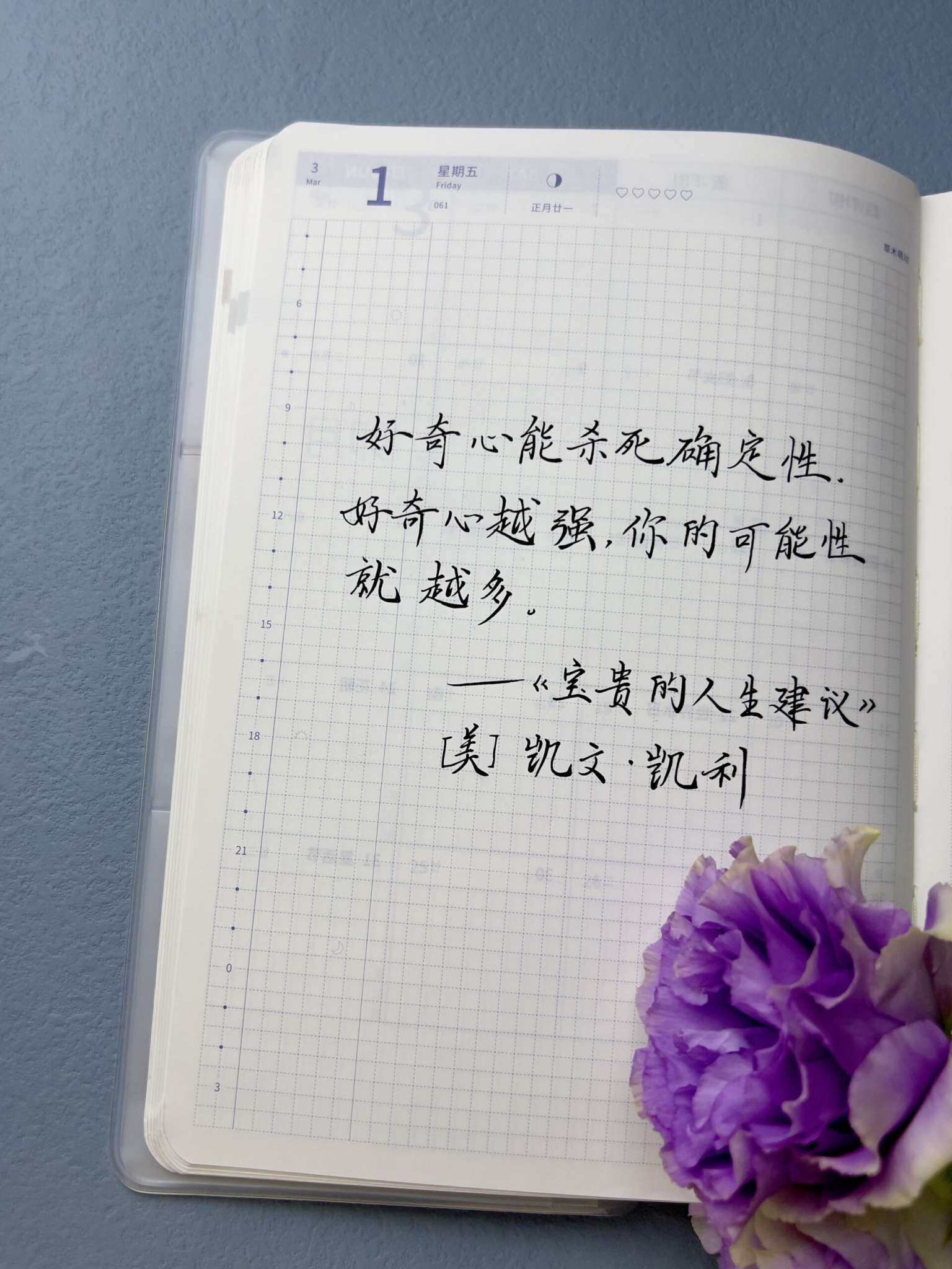 自在手帐2024年3月1日