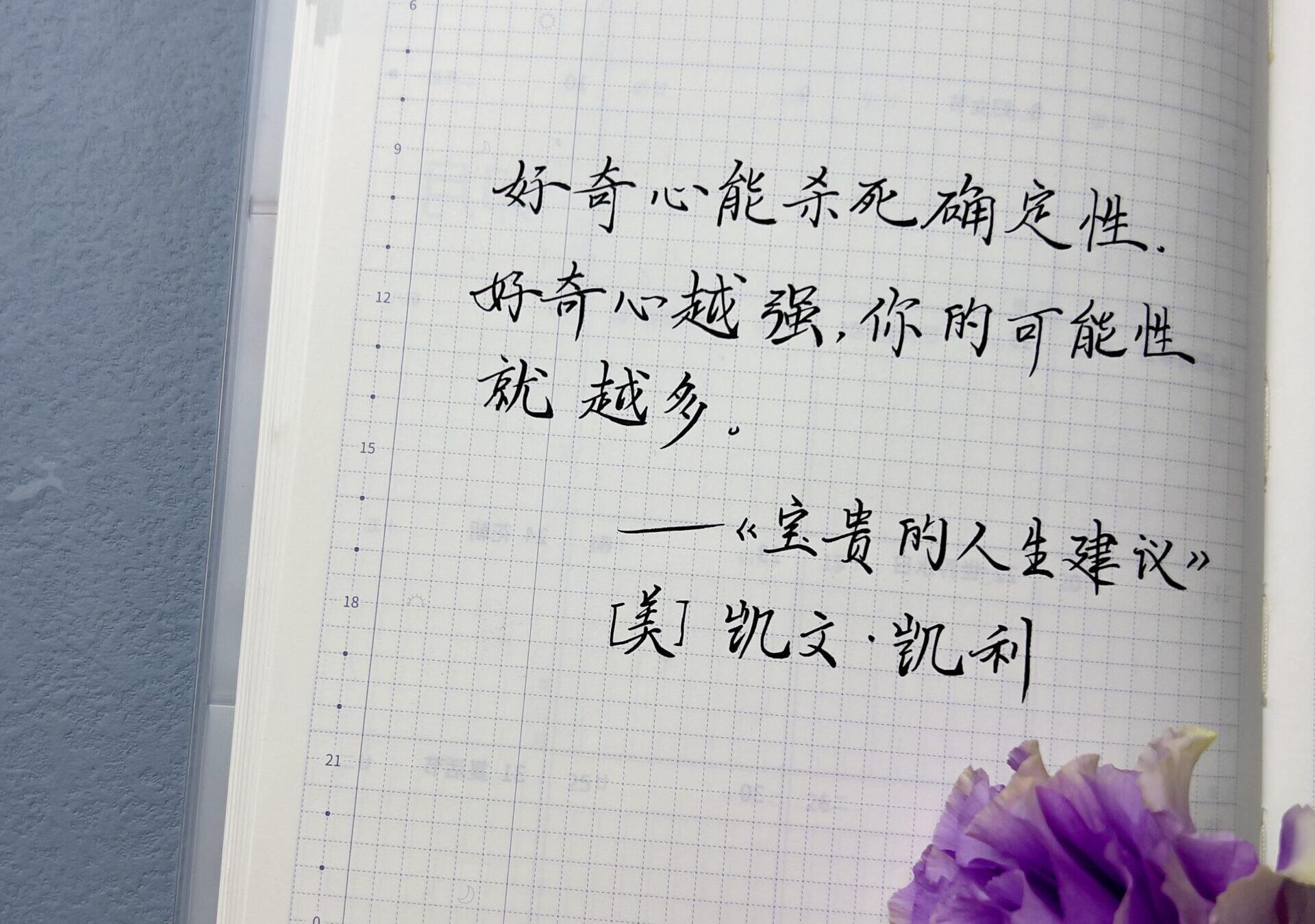 好奇心能杀死确定性