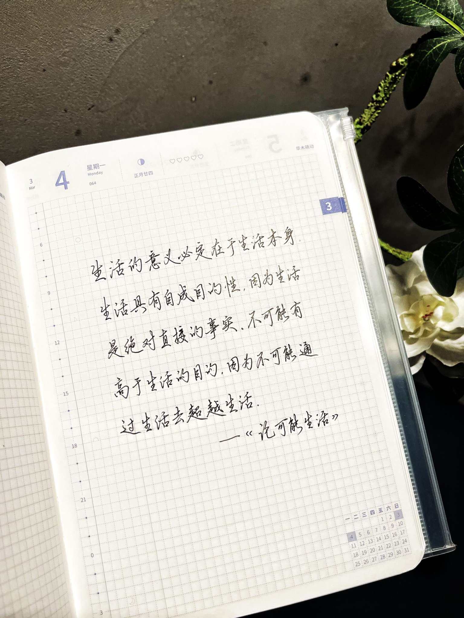 自在手帐2024年3月4日
