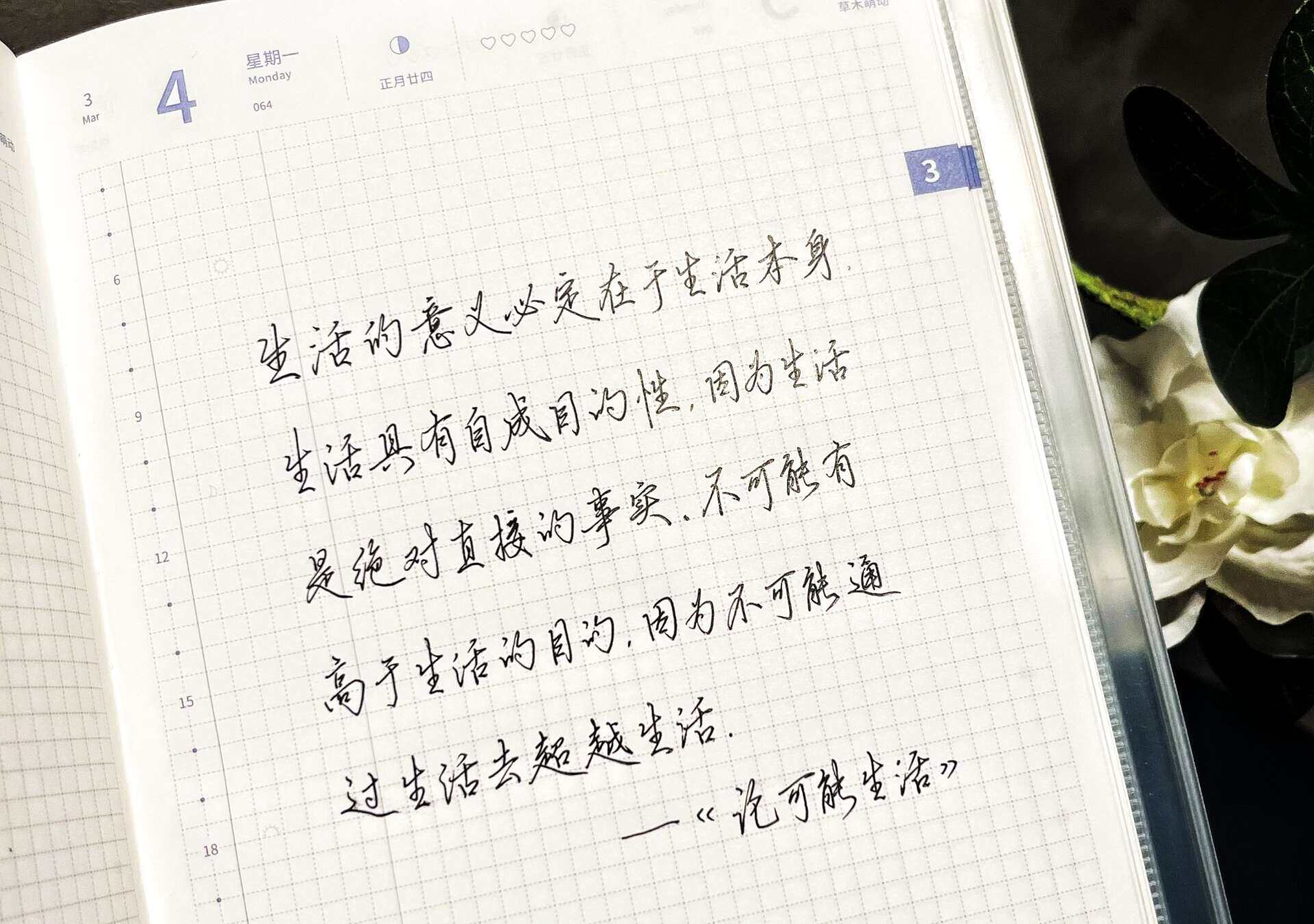 自在手帐2024年3月4日