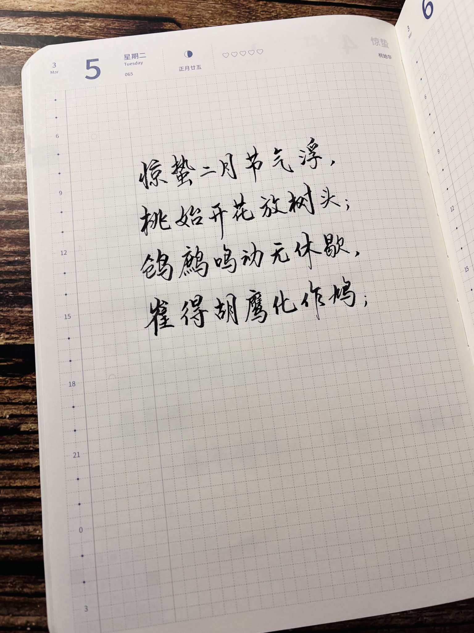 自在手帐2024年3月5日
