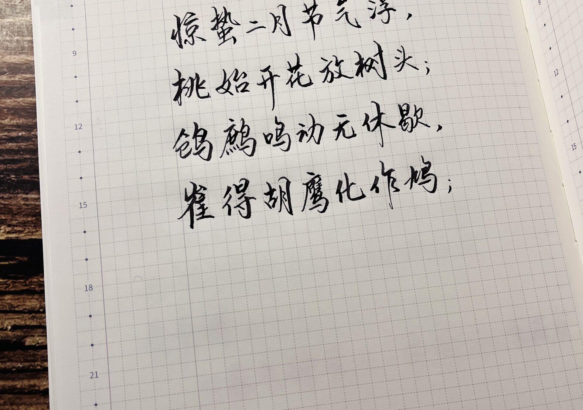 惊蛰|二十四节气|甲辰年