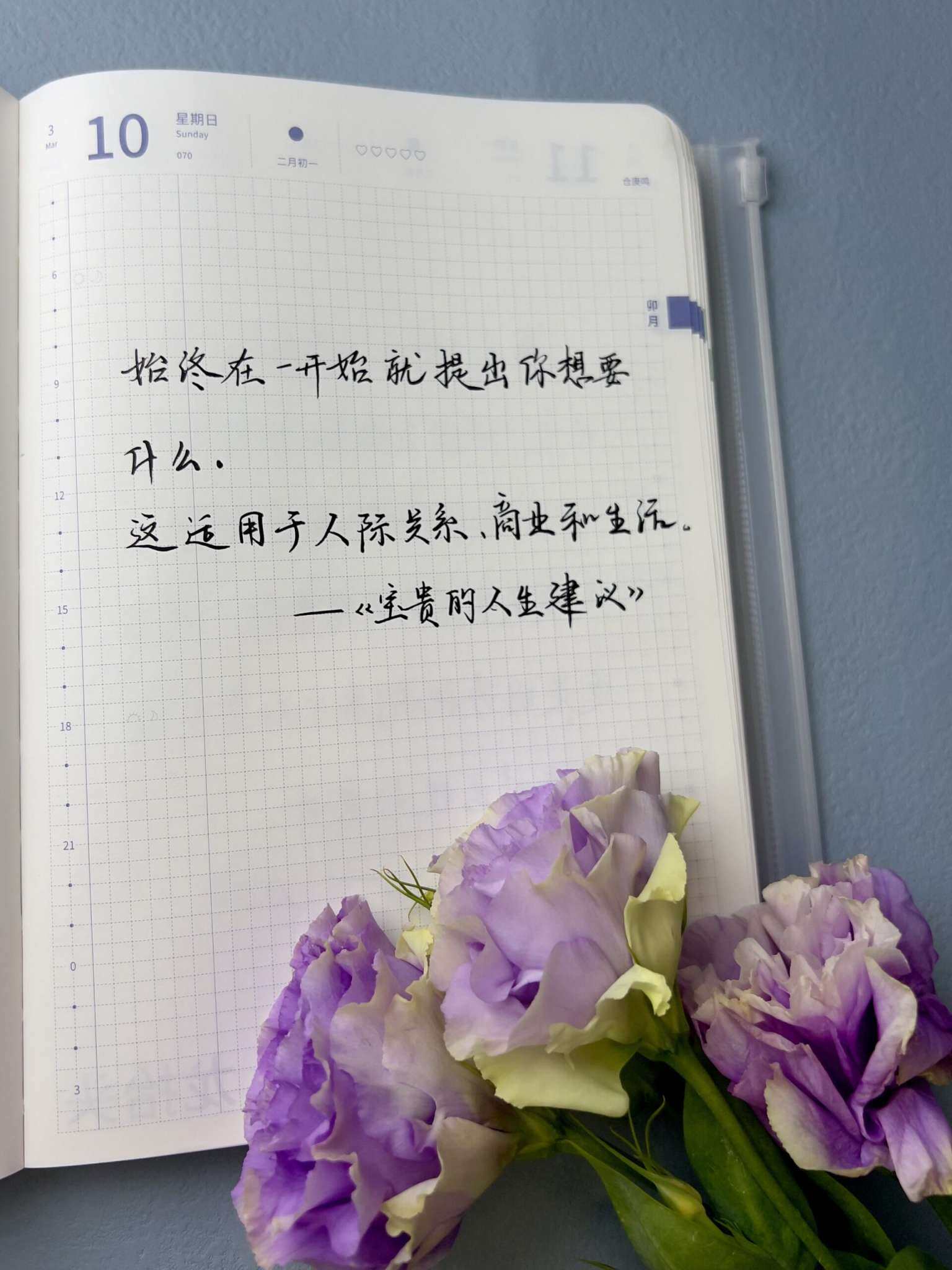 自在手帐2024年3月10日
