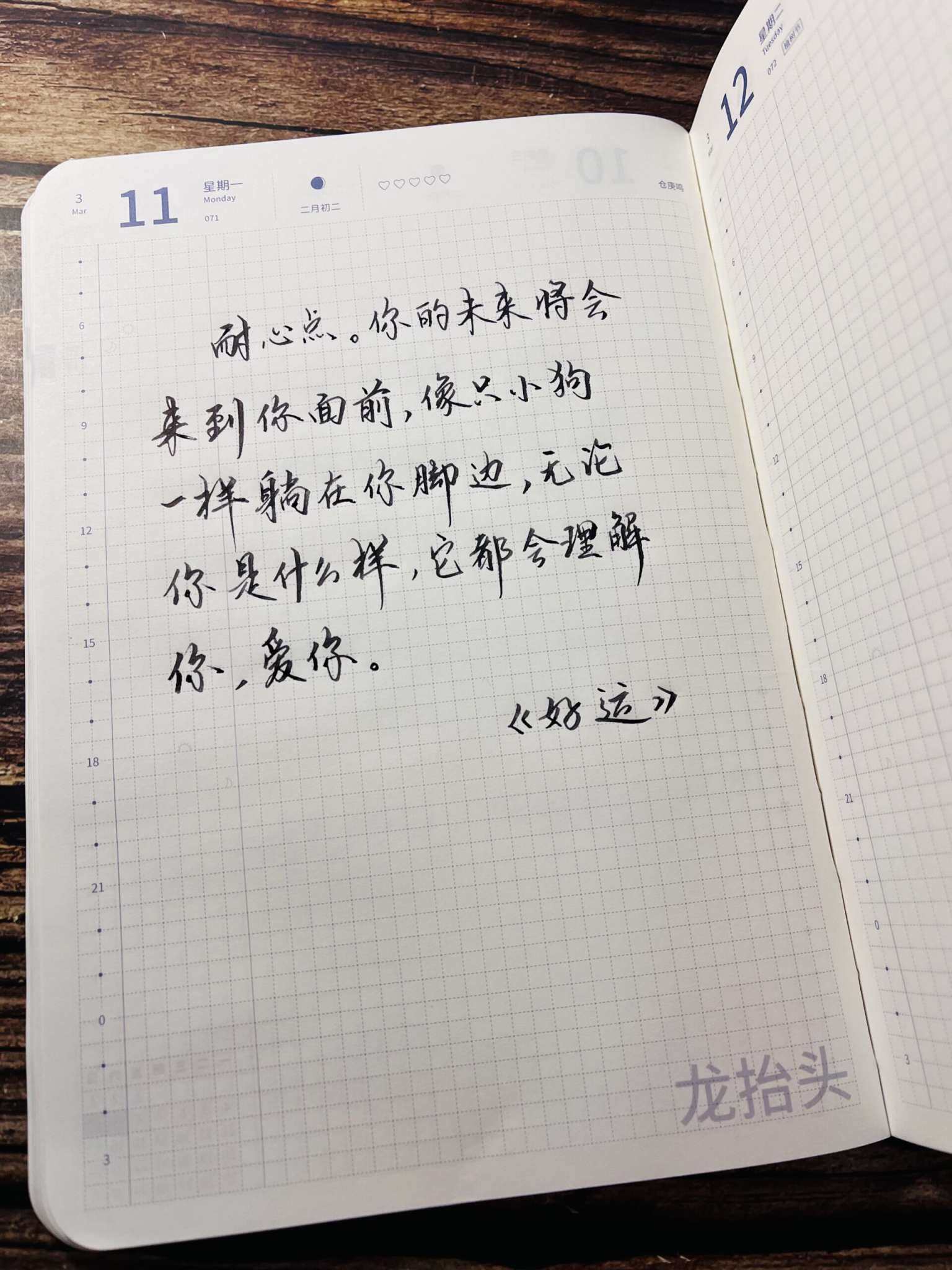 自在手帐2024年3月11日