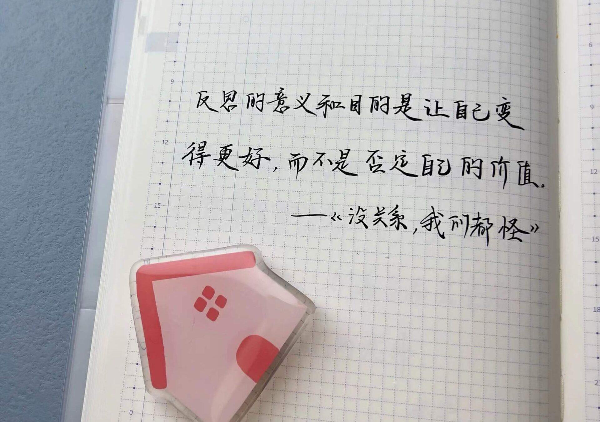 反思的意义和目的