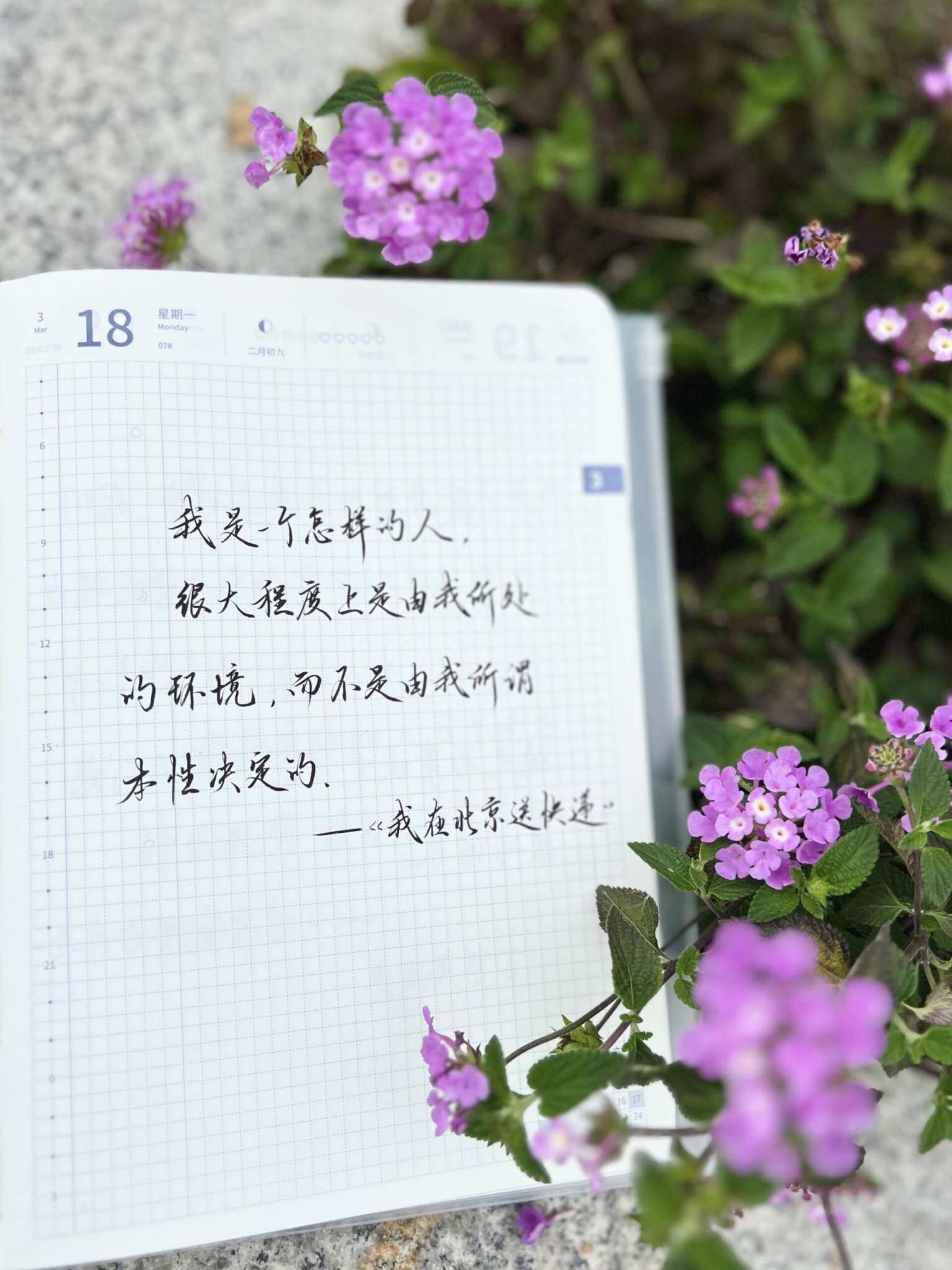 自在手帐2024年3月18日