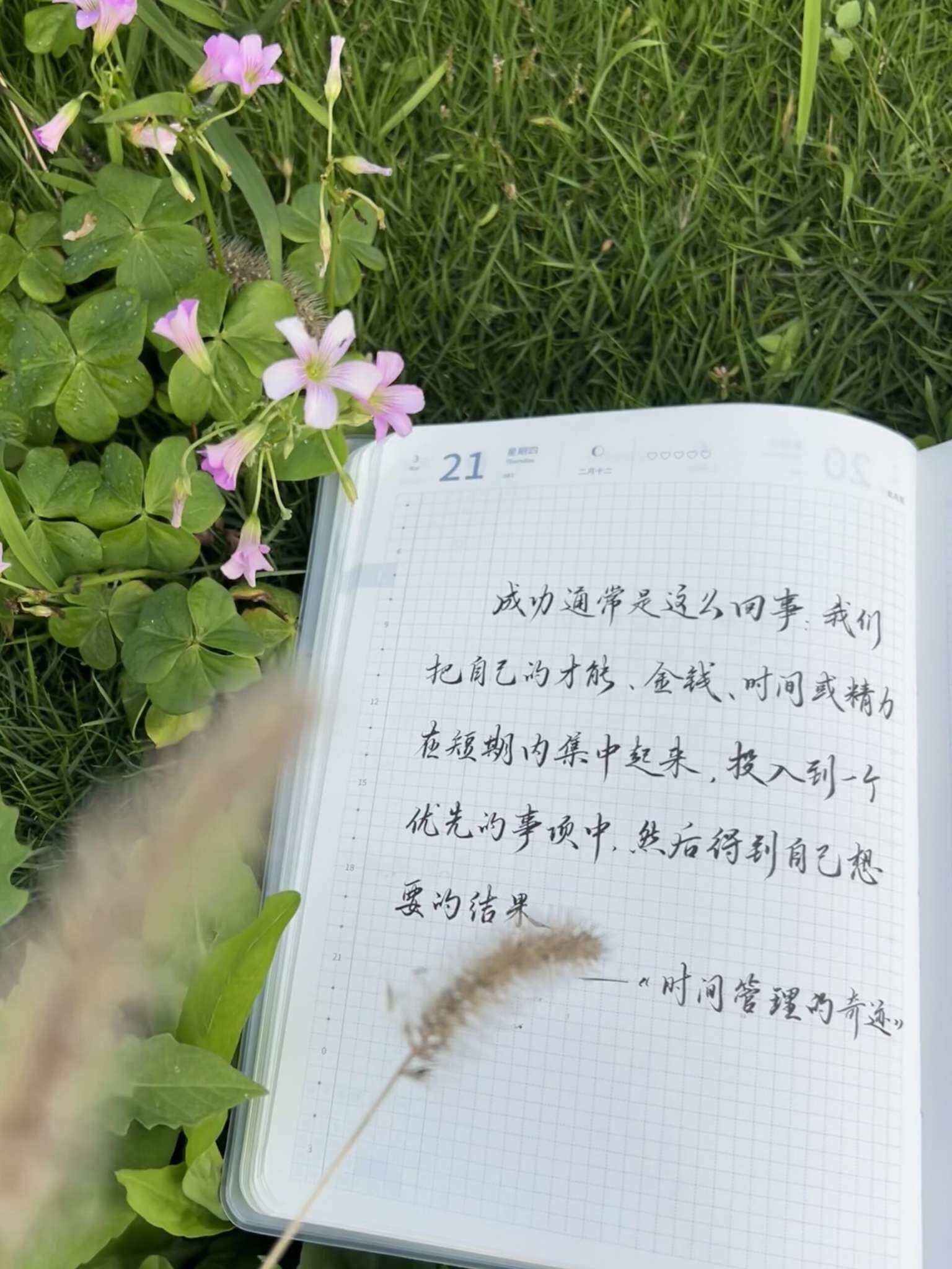 自在手帐2024年3月21日