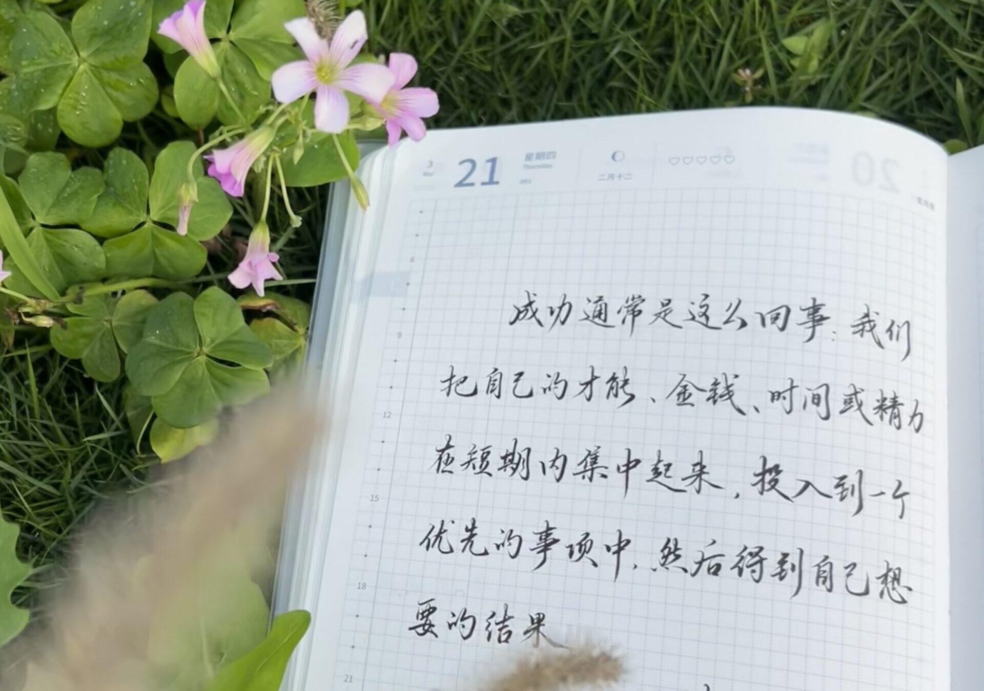 时间管理的奇迹