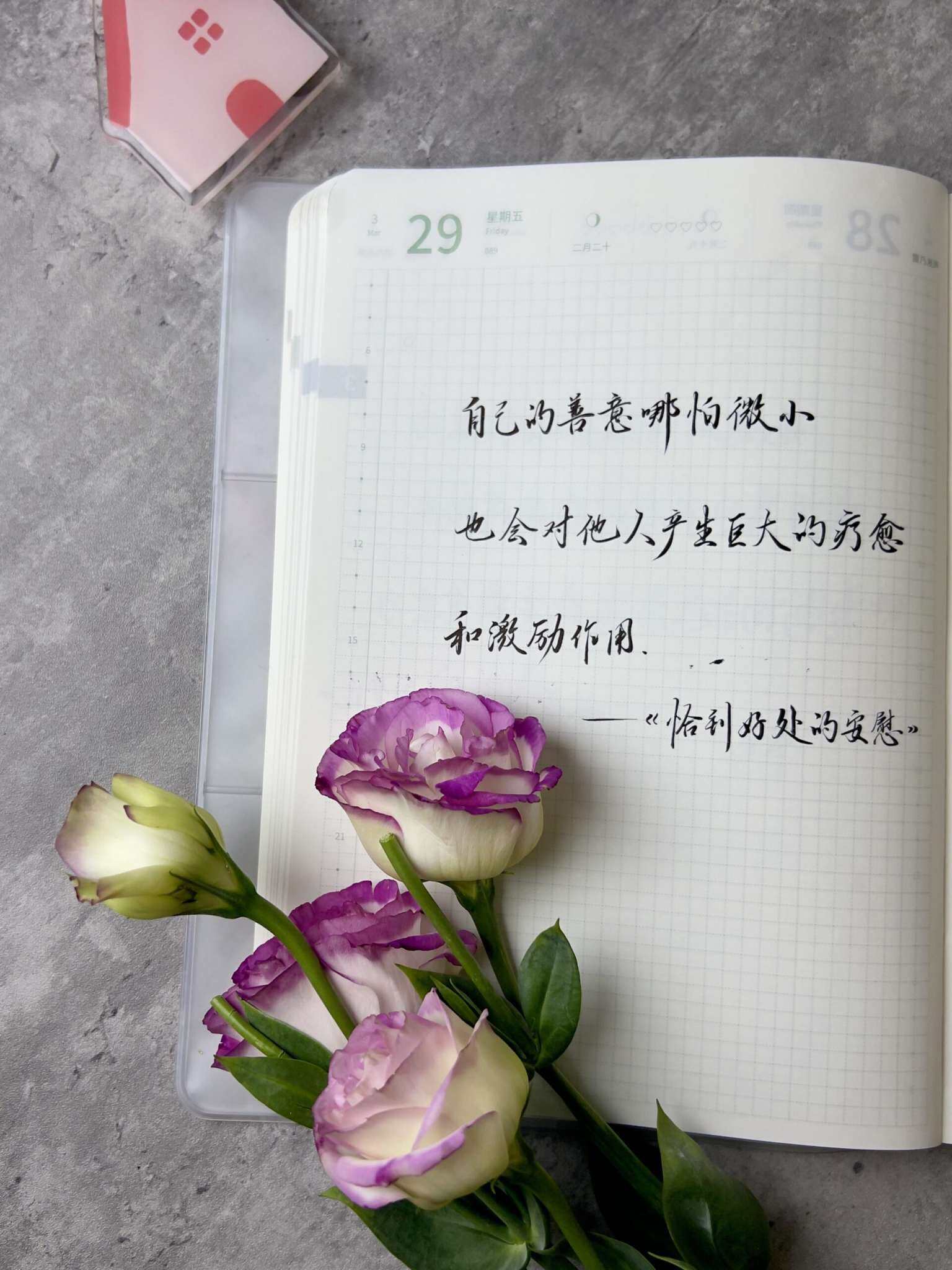 自在手帐2024年3月29日