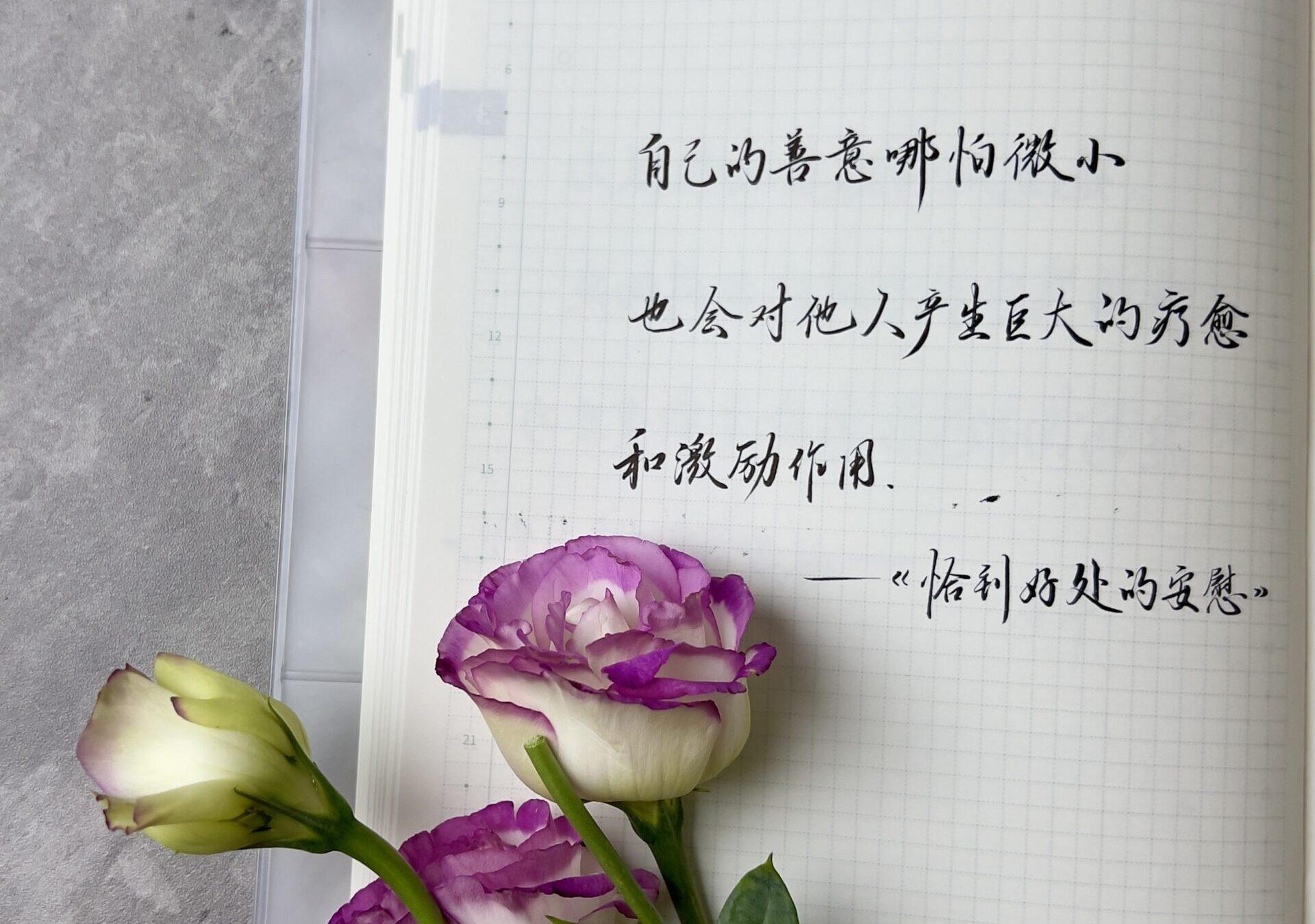 自在手帐2024年3月29日