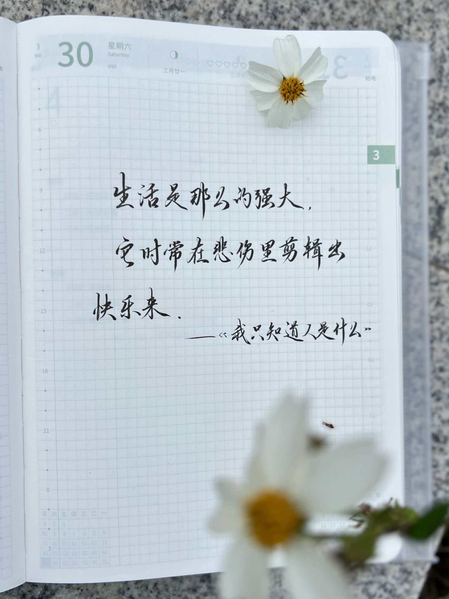 自在手帐2024年3月30日