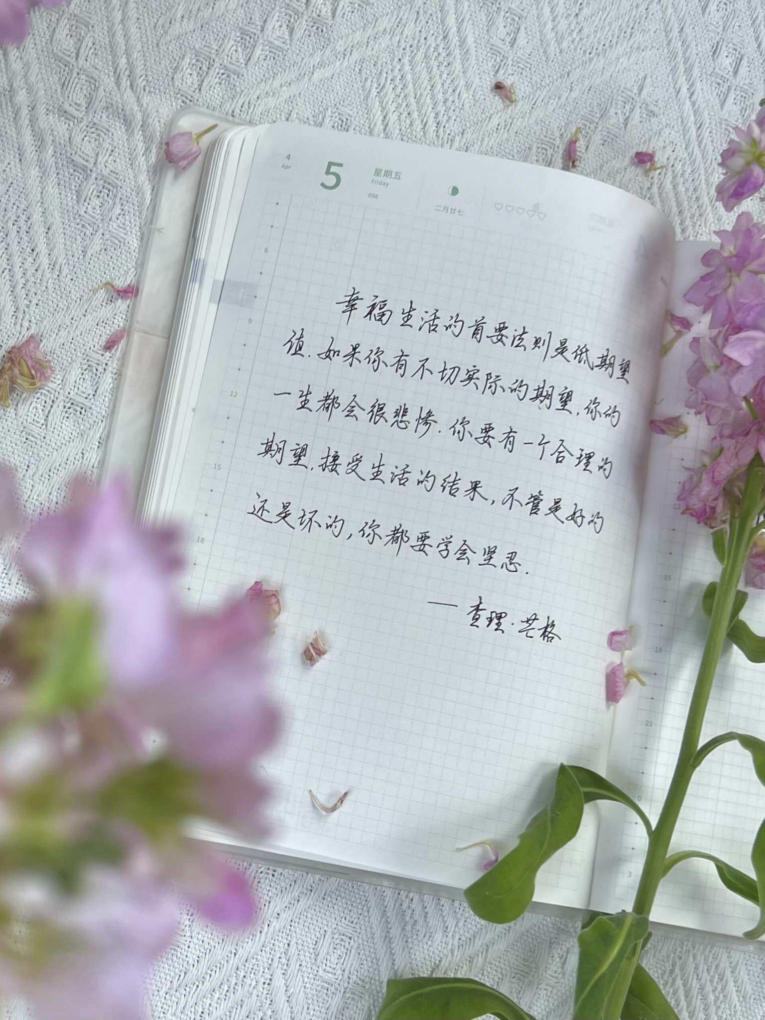 自在手帐2024年4月5日