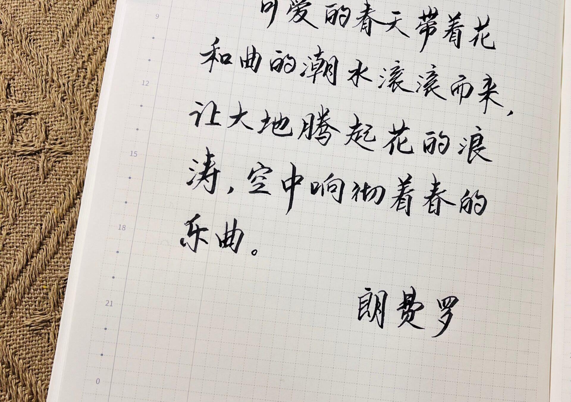 在这春日的旋律中起舞！