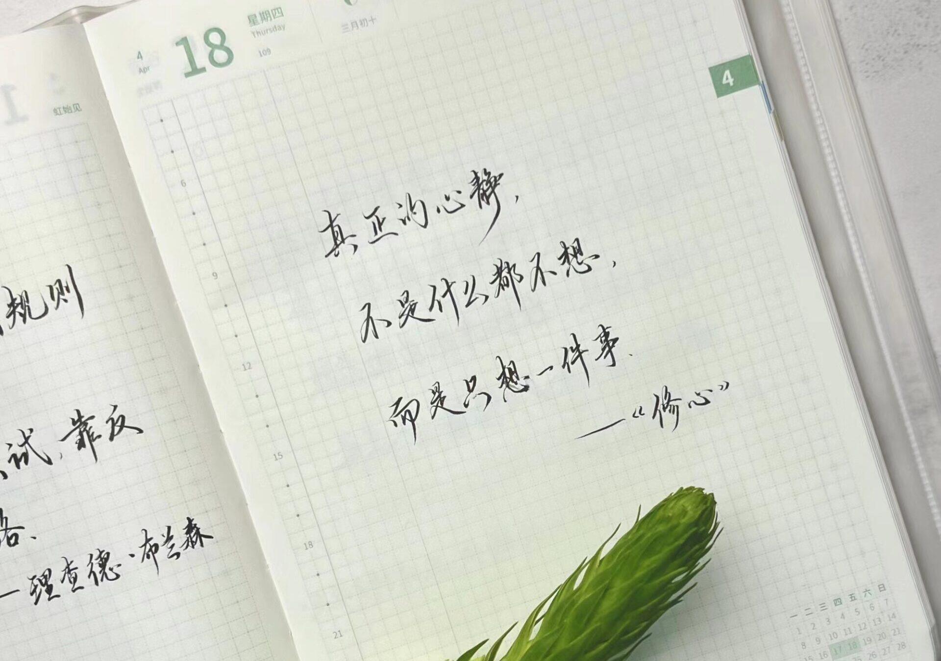 专注力max！手帐里真心静💖