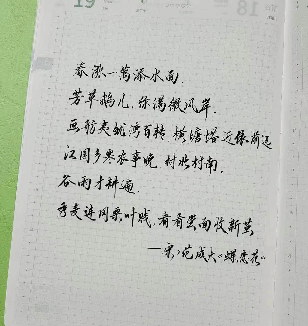 绿满微风岸，手帐记春意💚