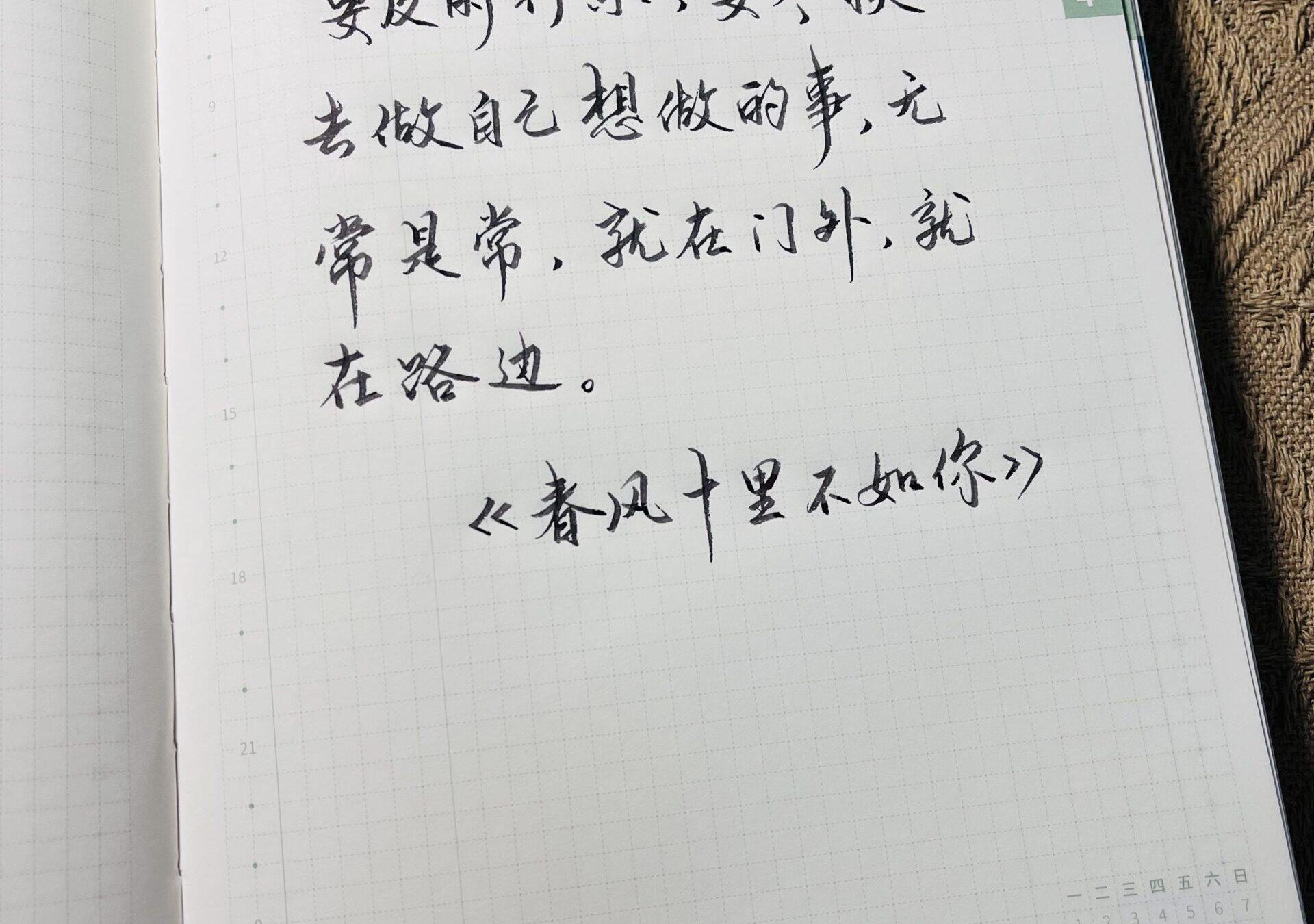 行乐趁现在，手帐里记录真我✨