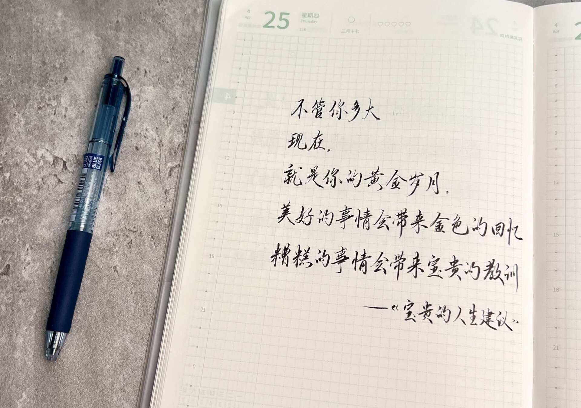 自在手帐2024年4月25日