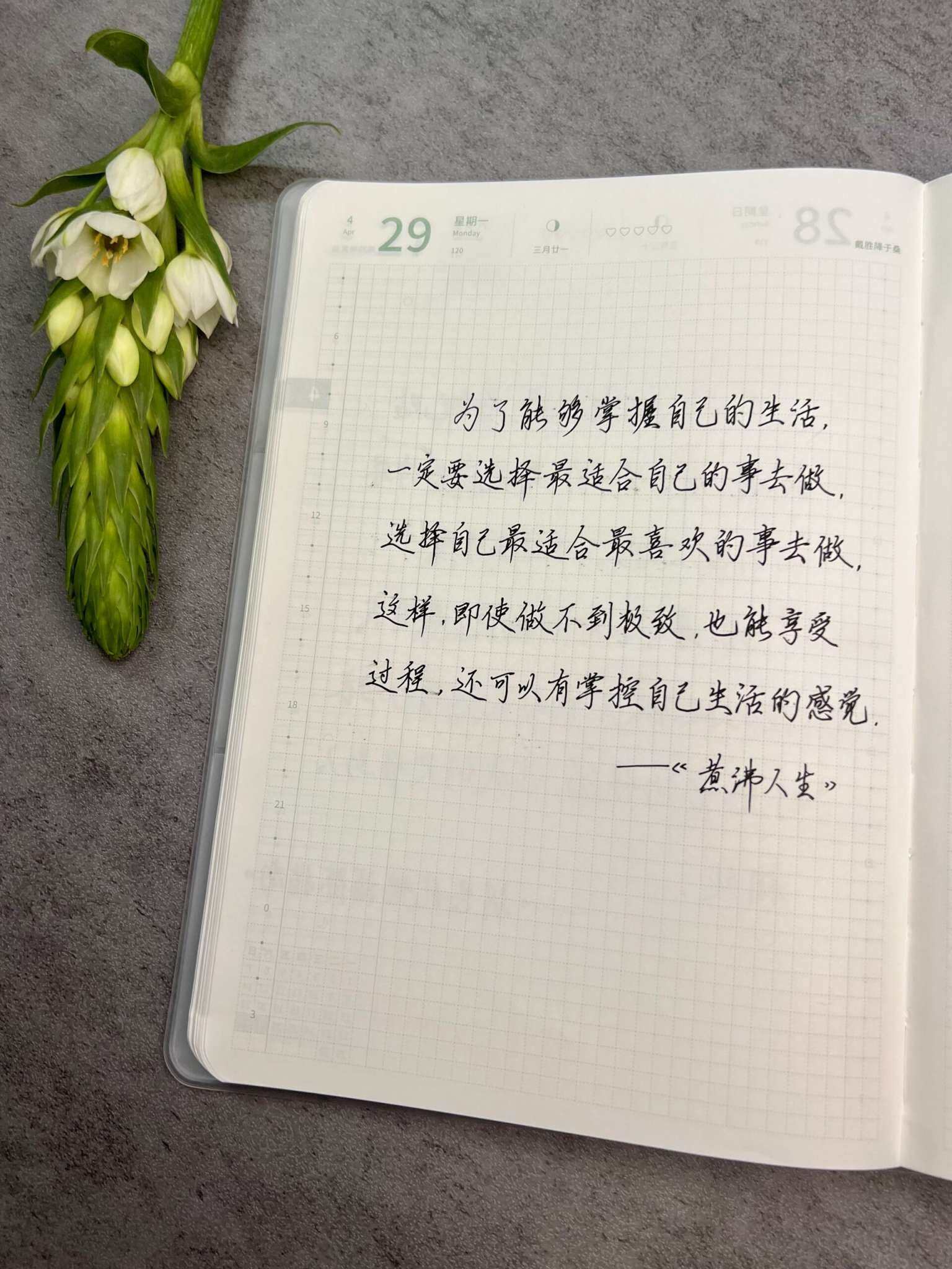 自在手帐2024年4月29日